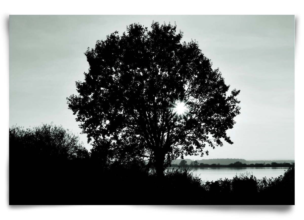 with heart, 90x60 cm, Keret nélkül