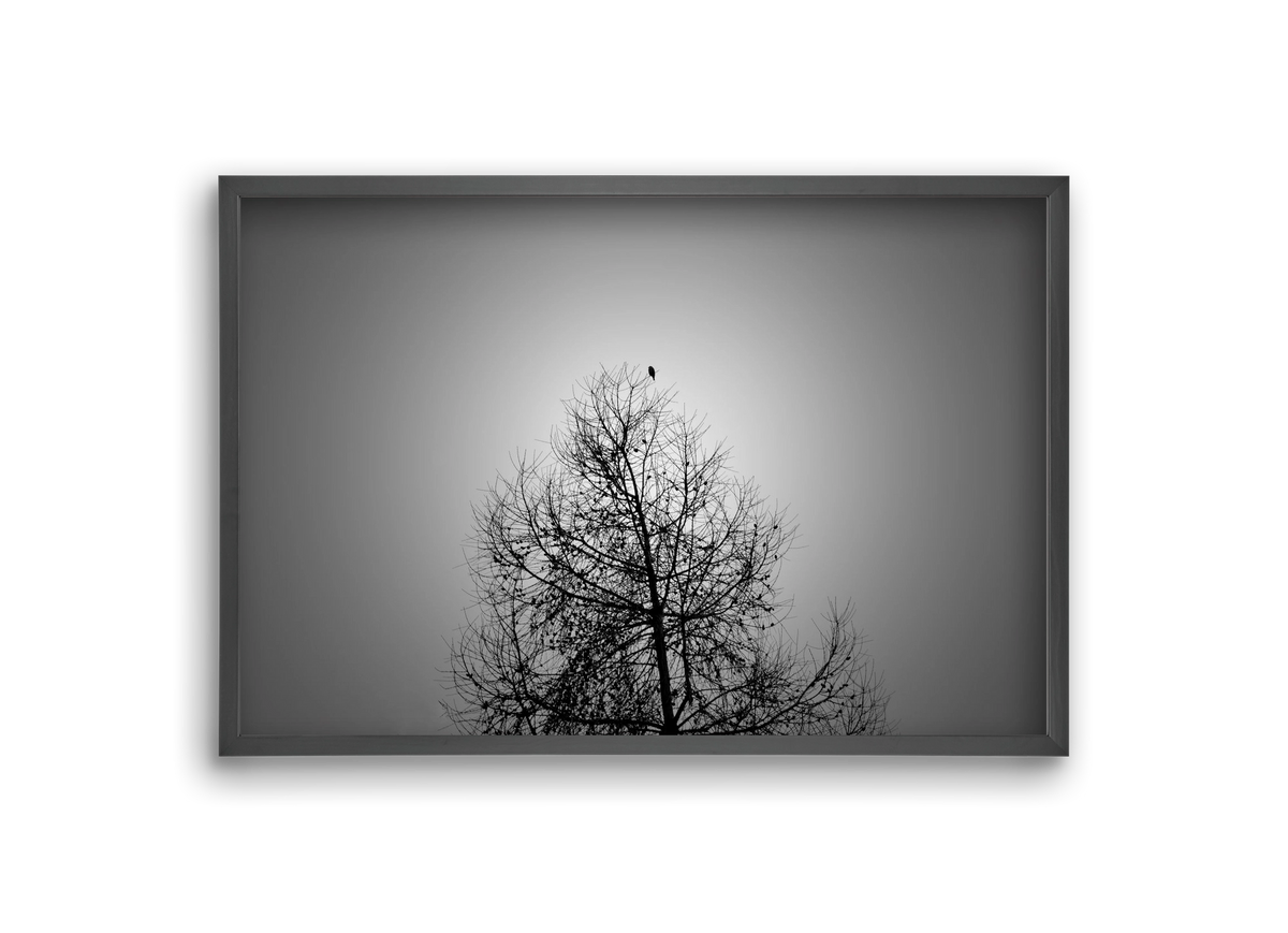 Aurora, 30x20 cm (30x20 cm), Fekete keret