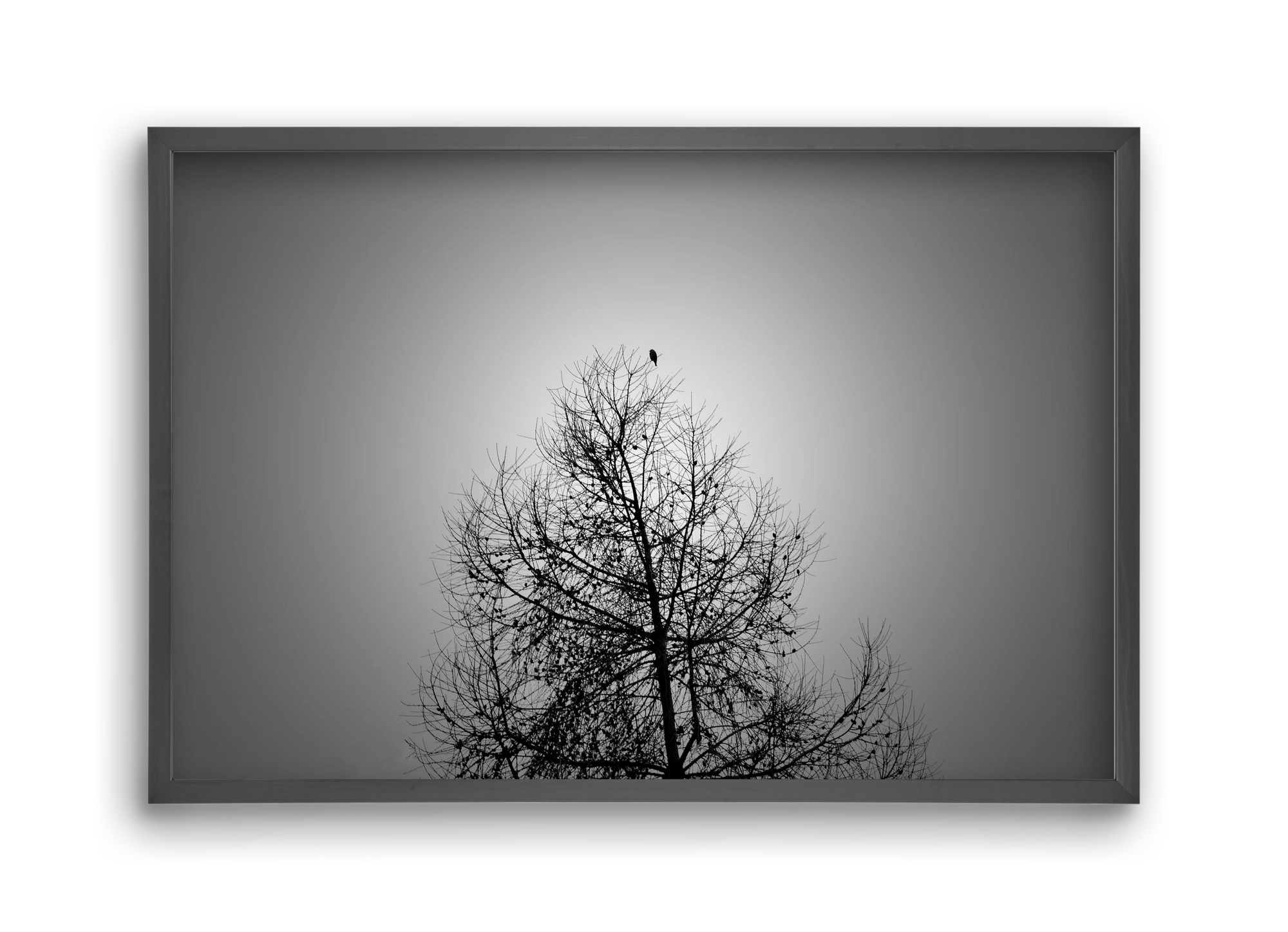 Aurora, 45x30 cm (45x30 cm), Fekete keret