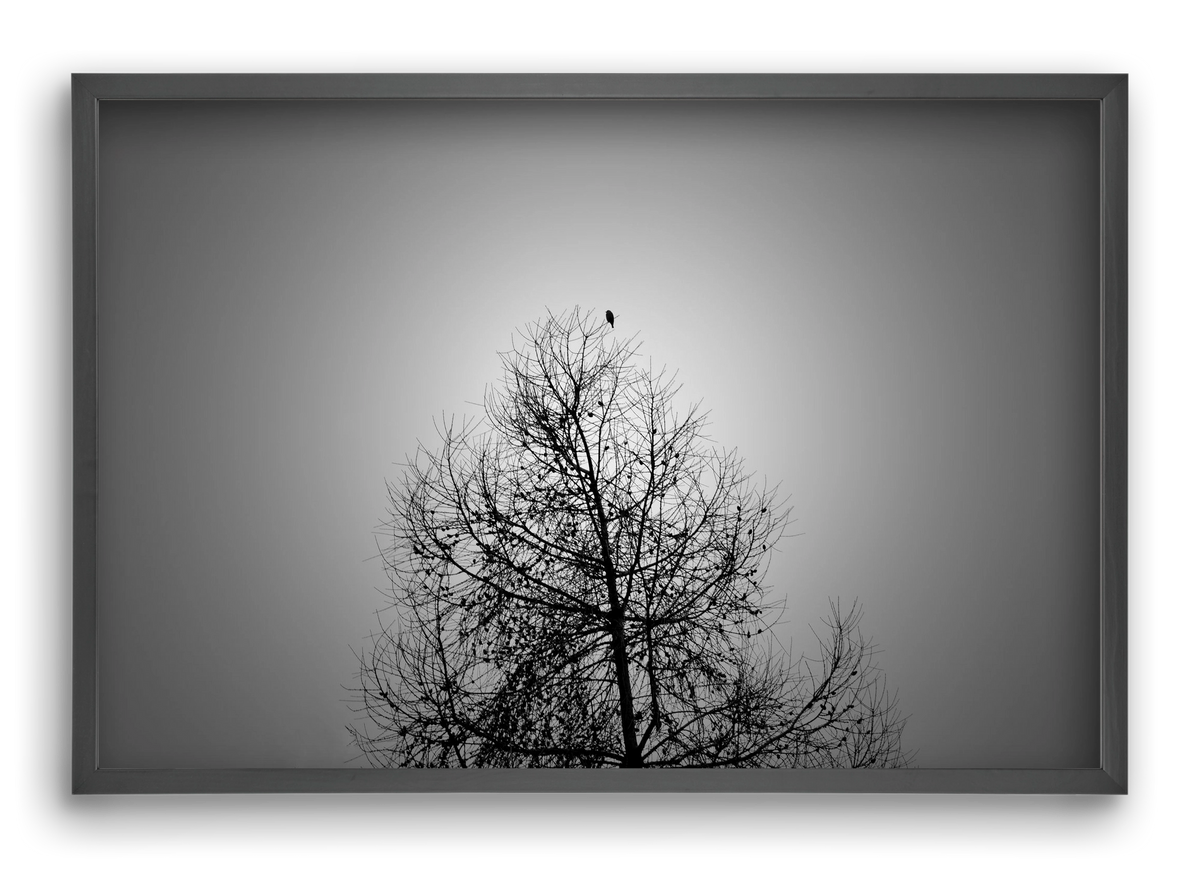 Aurora, 60x40 cm (60x40 cm), Fekete keret