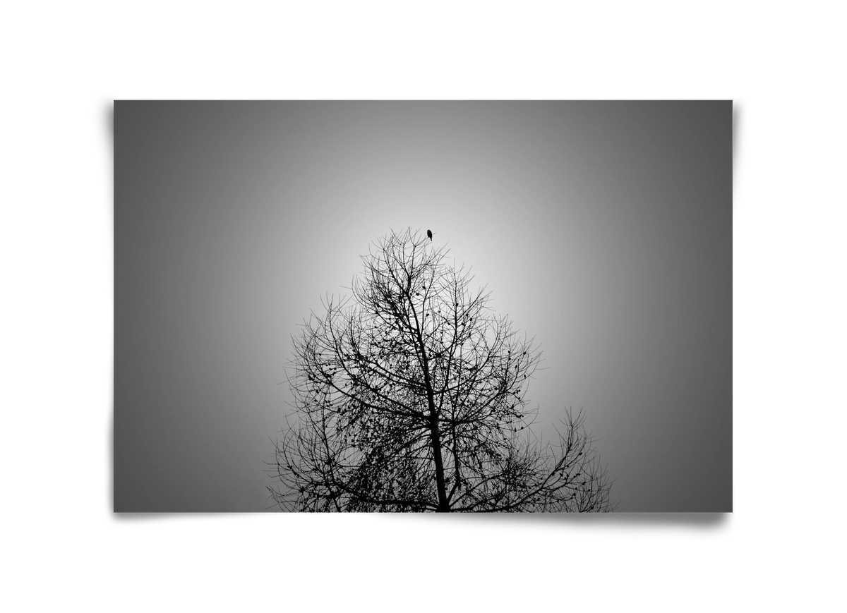 Aurora, 45x30 cm, Keret nélkül