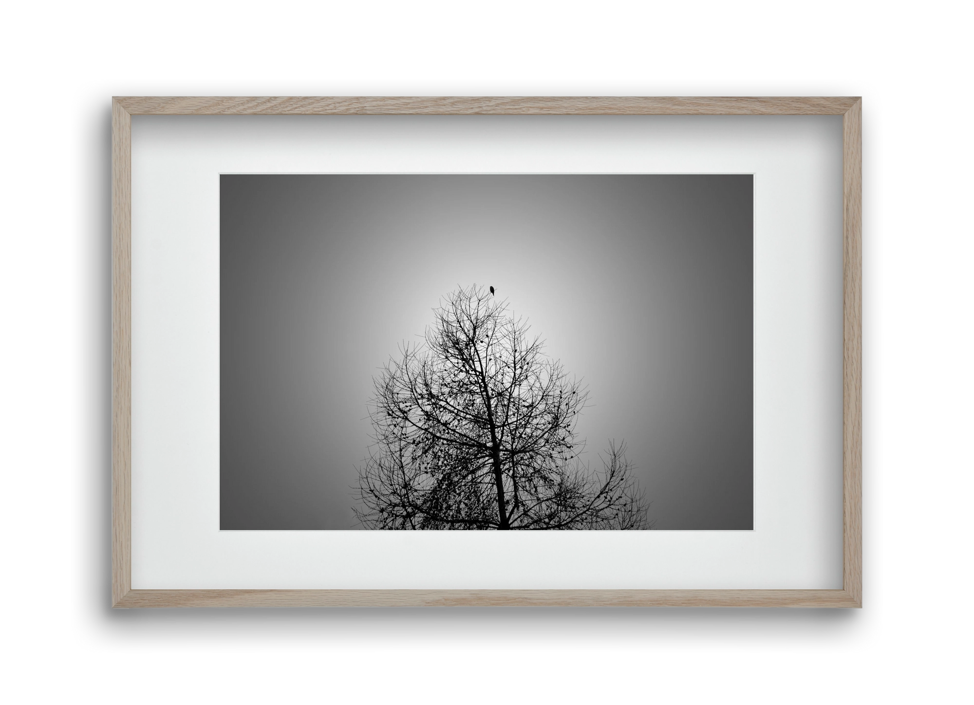 Aurora, 45x30 cm (30x20 cm), Tölgy keret, paszpartuval