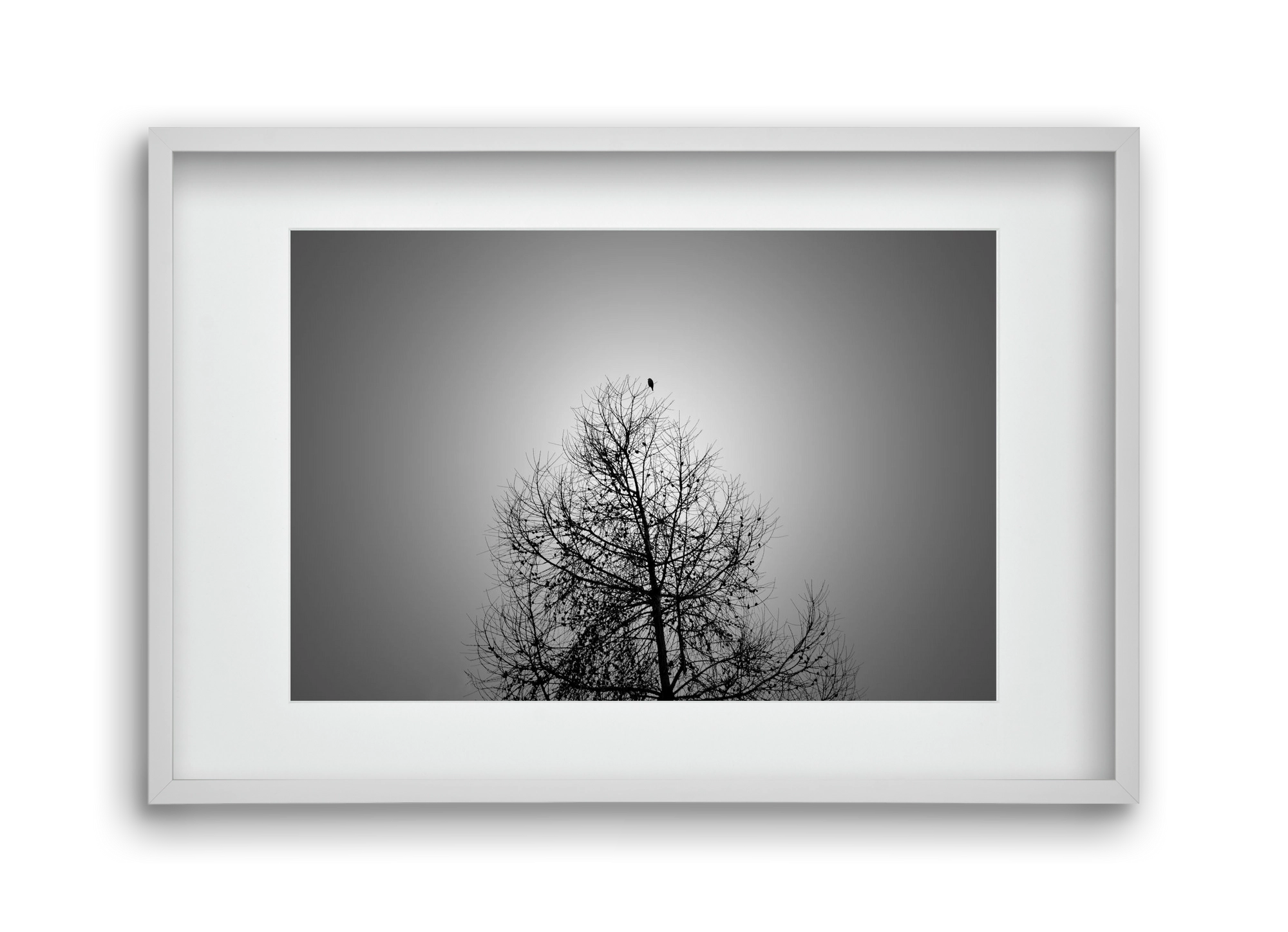 Aurora, 45x30 cm (30x20 cm), Fehér keret, paszpartuval