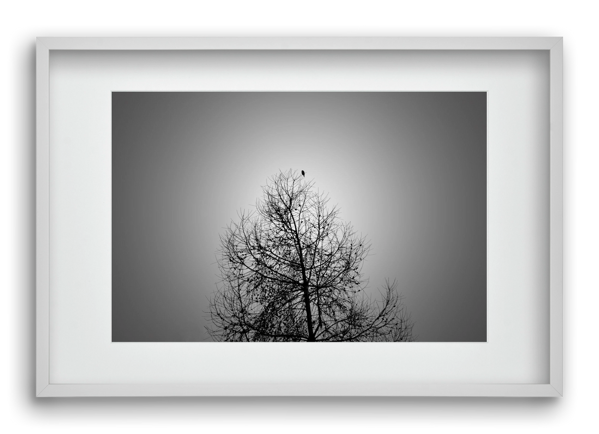 Aurora, 60x40 cm (45x30 cm), Fehér keret, paszpartuval