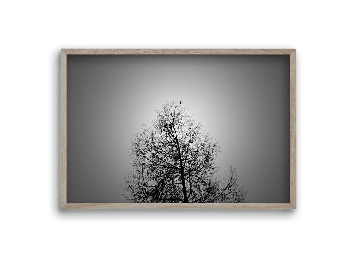 Aurora, 30x20 cm (30x20 cm), Tölgy keret