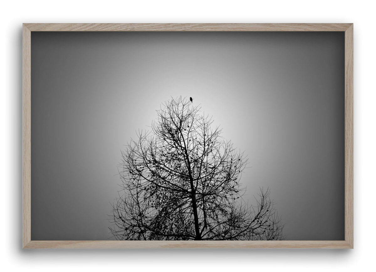 Aurora, 60x40 cm (60x40 cm), Tölgy keret