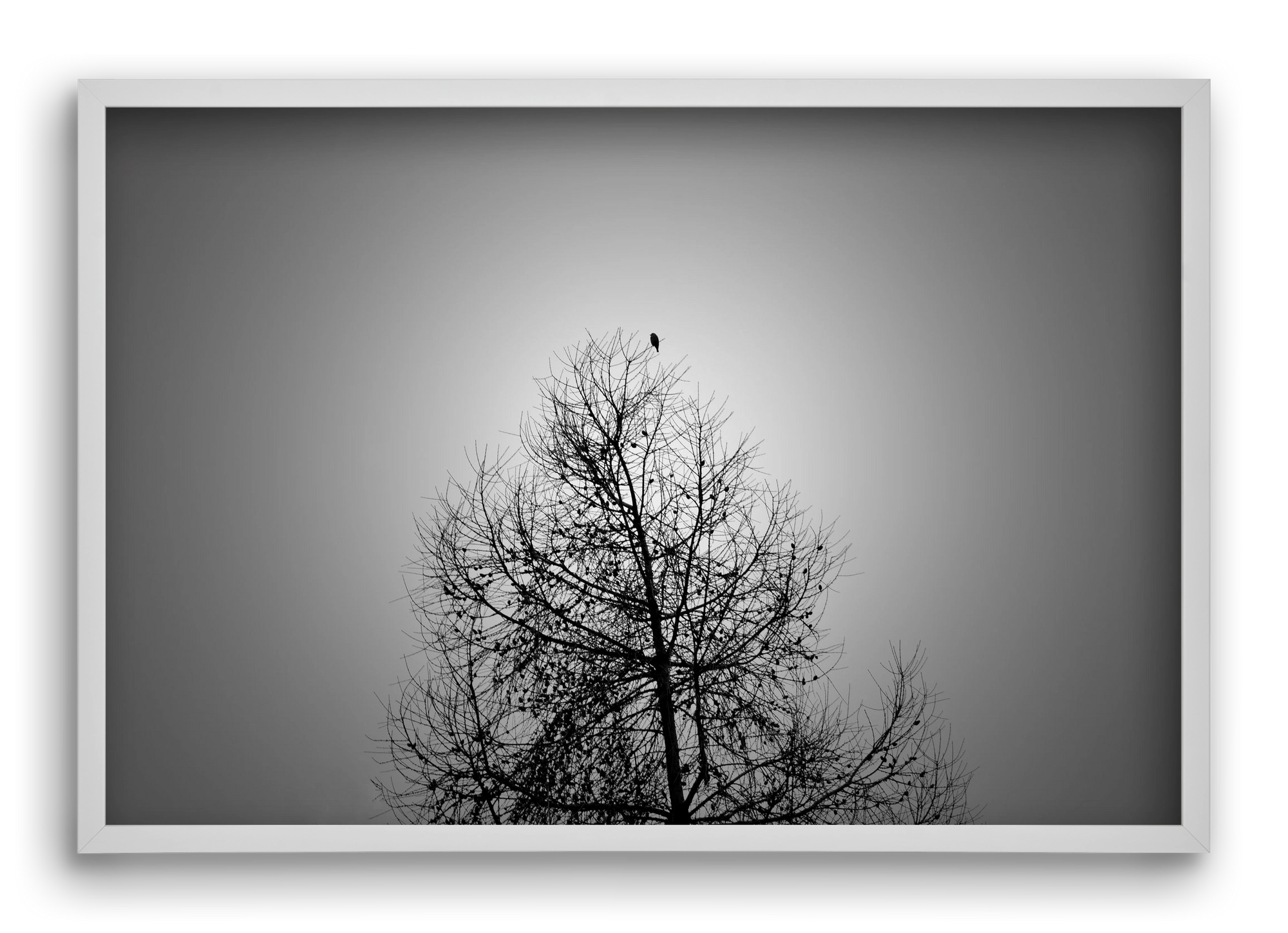 Aurora, 60x40 cm (60x40 cm), Fehér keret