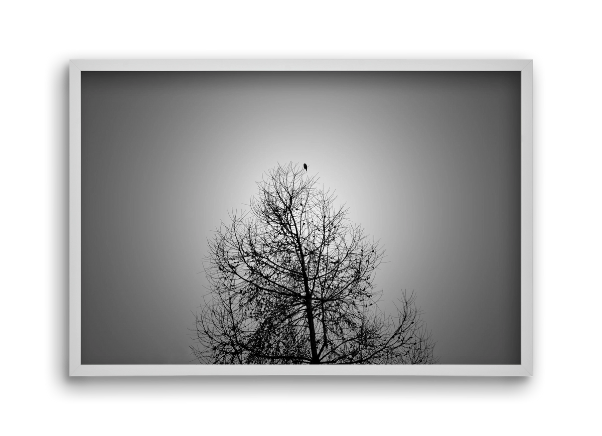 Aurora, 45x30 cm (45x30 cm), Fehér keret