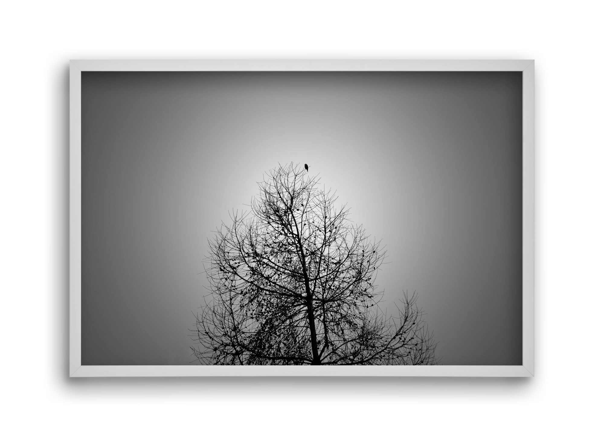 Aurora, 45x30 cm (45x30 cm), Fehér keret