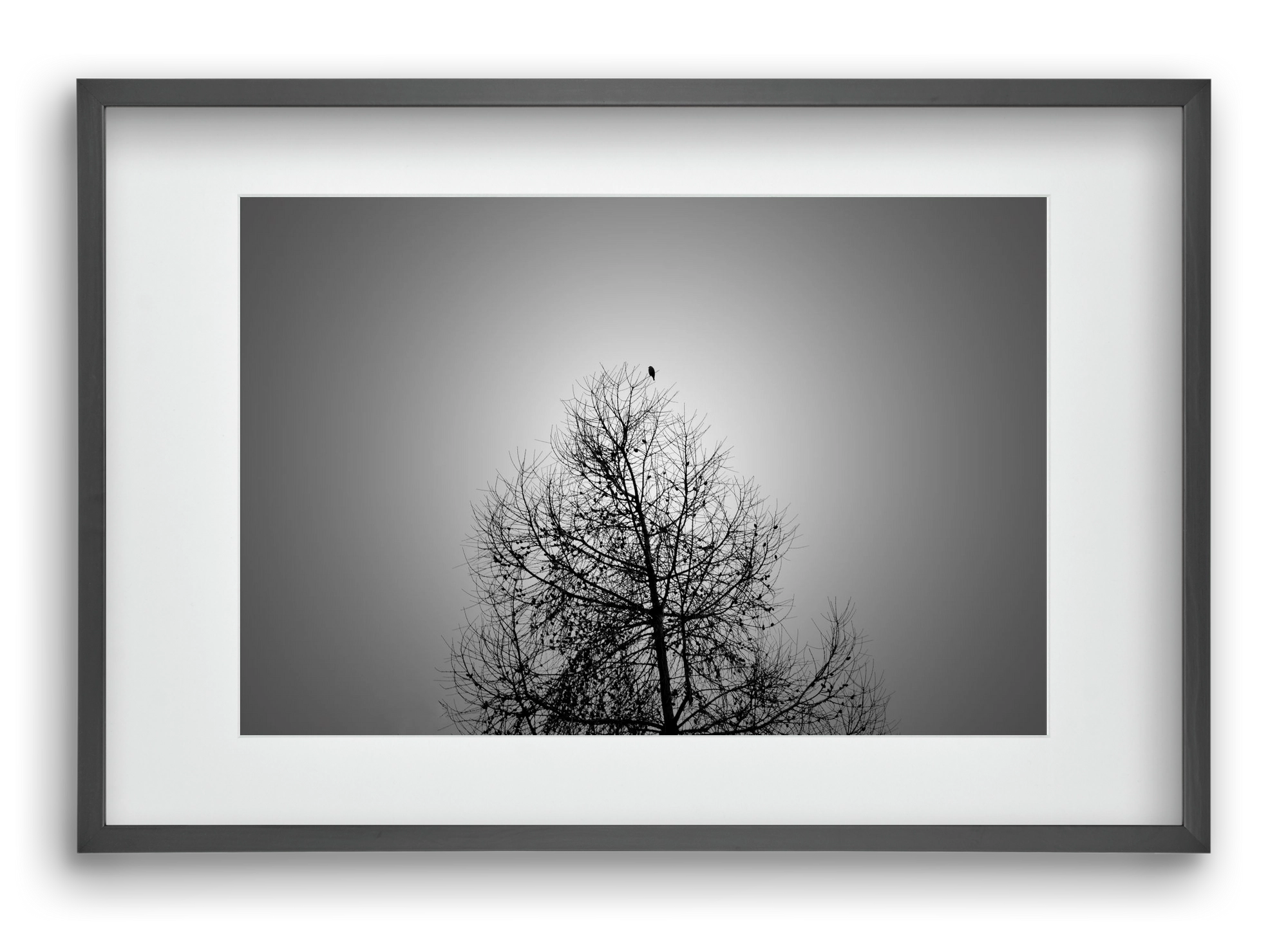 Aurora, 60x40 cm (45x30 cm), Fekete keret, paszpartuval