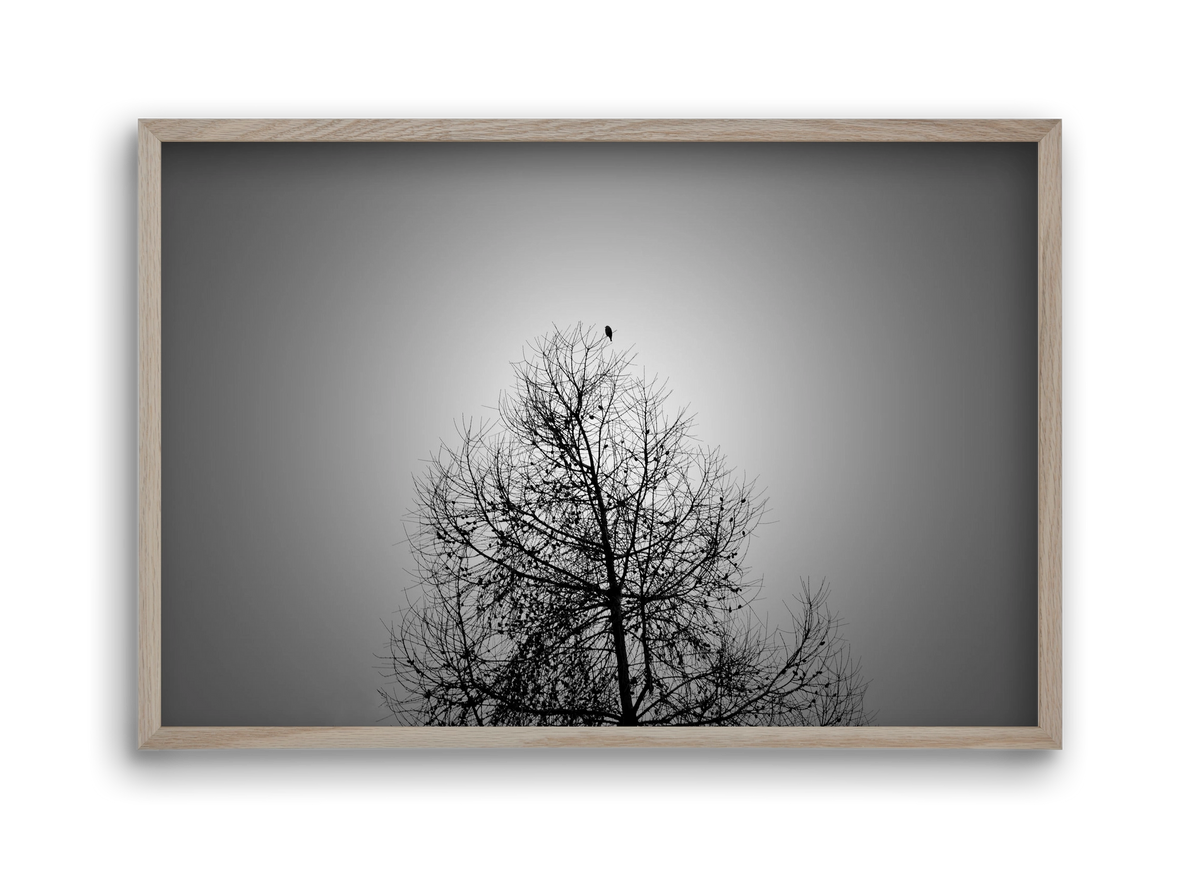 Aurora, 45x30 cm (45x30 cm), Tölgy keret