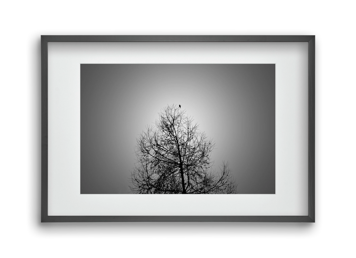 Aurora, 45x30 cm (30x20 cm), Fekete keret, paszpartuval