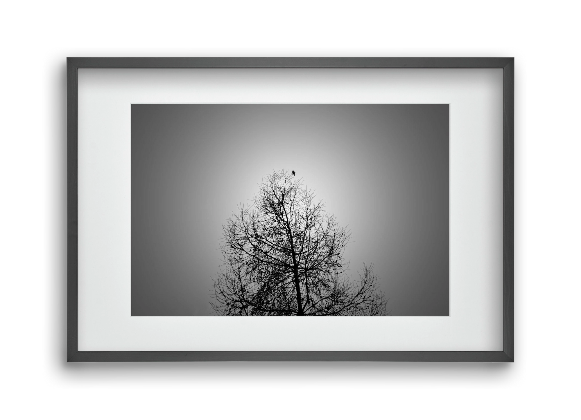 Aurora, 45x30 cm (30x20 cm), Fekete keret, paszpartuval