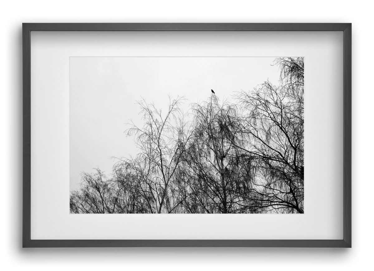 Poeta, 60x40 cm (45x30 cm), Fekete keret, paszpartuval