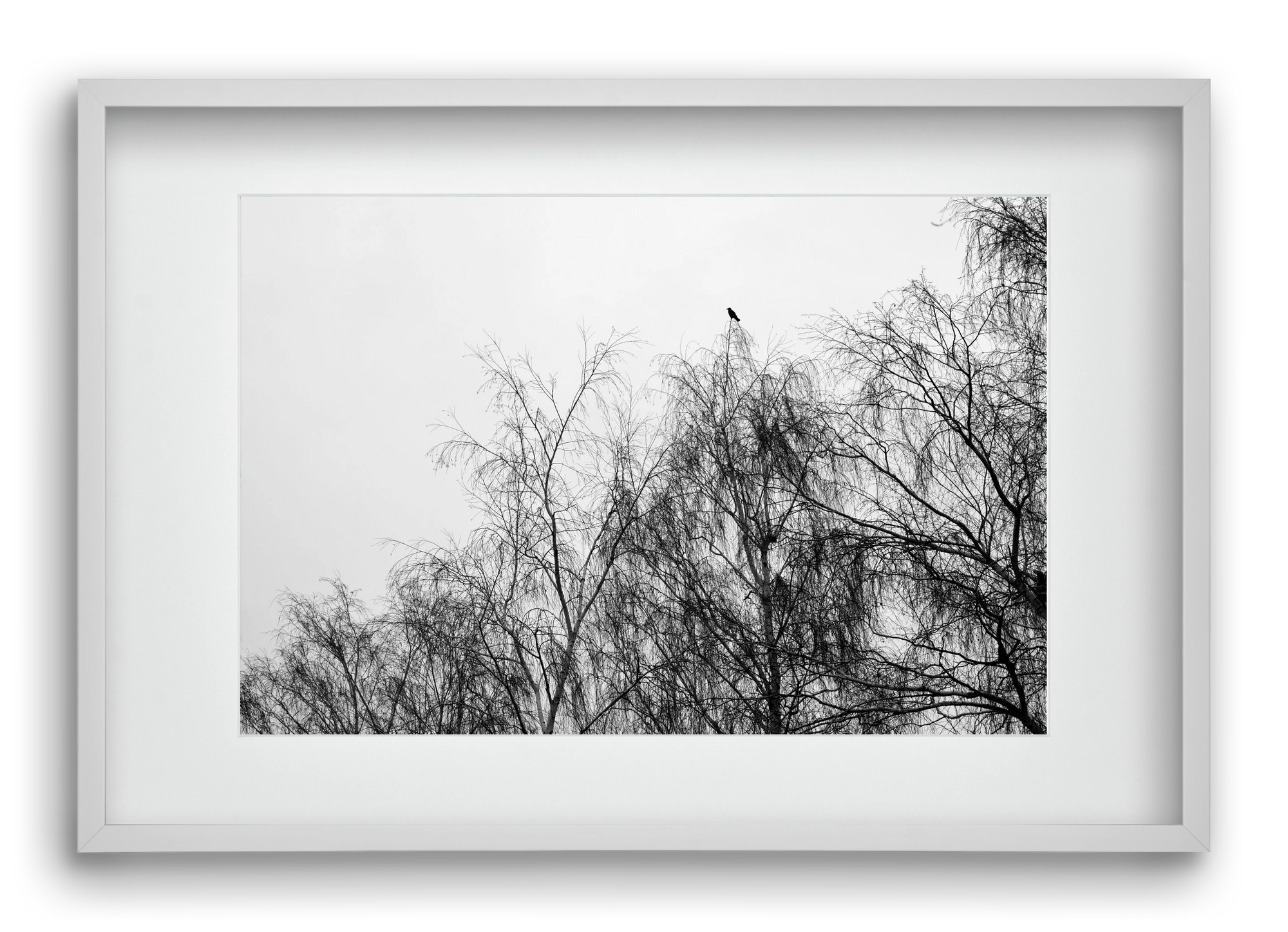 Poeta, 60x40 cm (45x30 cm), Fehér keret, paszpartuval