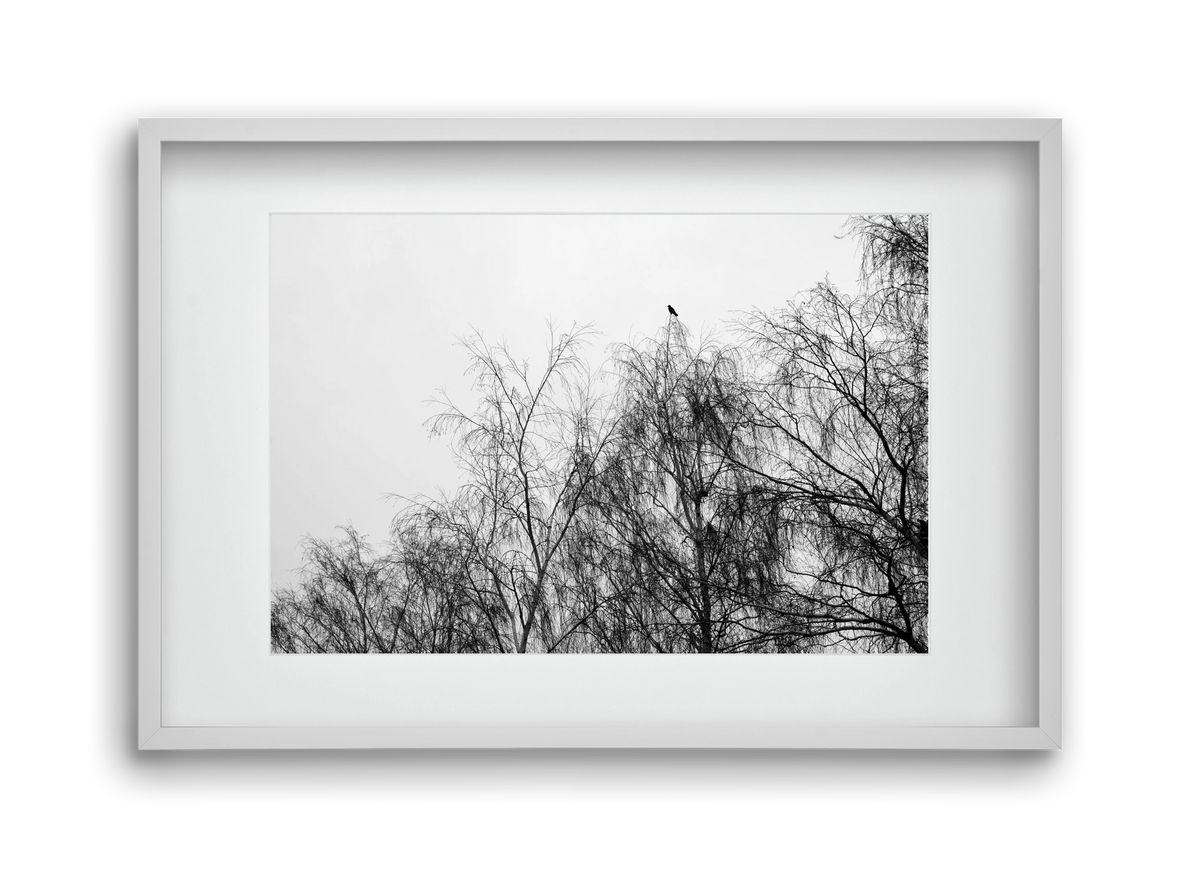 Poeta, 45x30 cm (30x20 cm), Fehér keret, paszpartuval