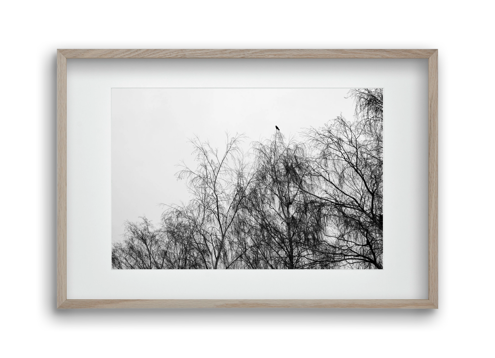 Poeta, 45x30 cm (30x20 cm), Tölgy keret, paszpartuval