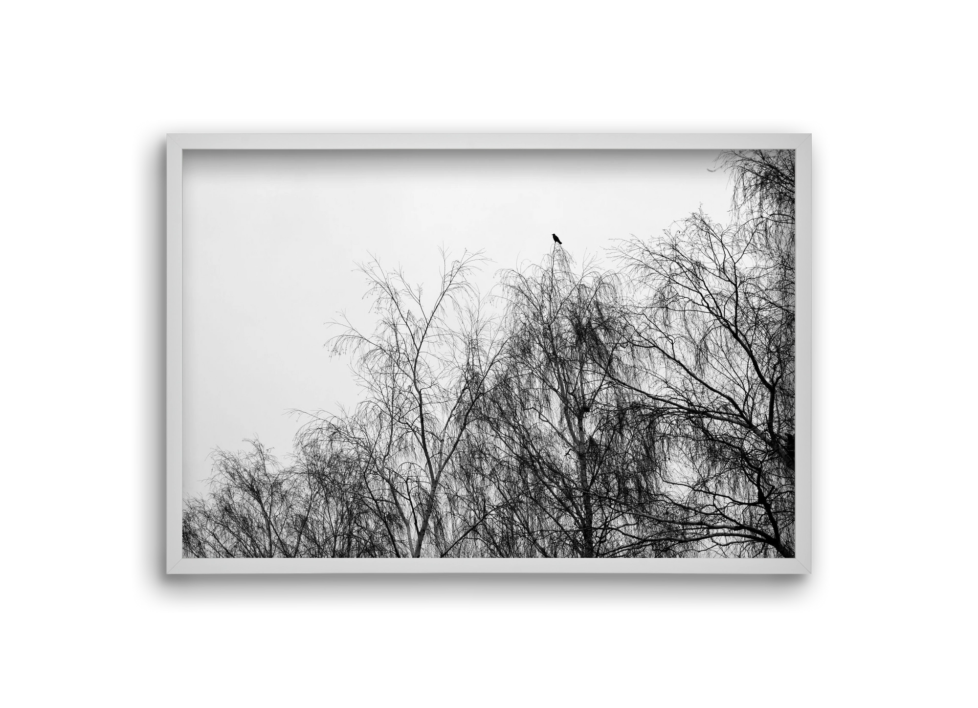 Poeta, 30x20 cm (30x20 cm), Fehér keret