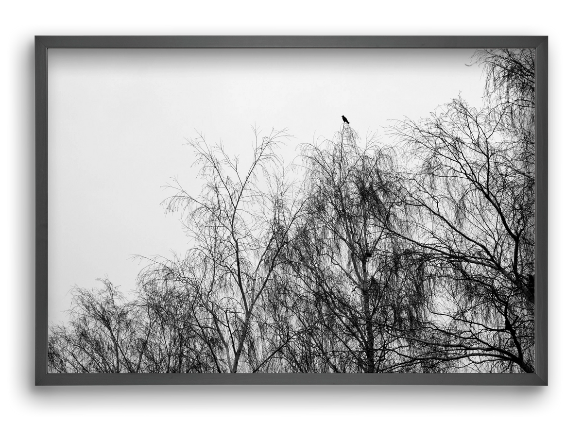 Poeta, 60x40 cm (60x40 cm), Fekete keret