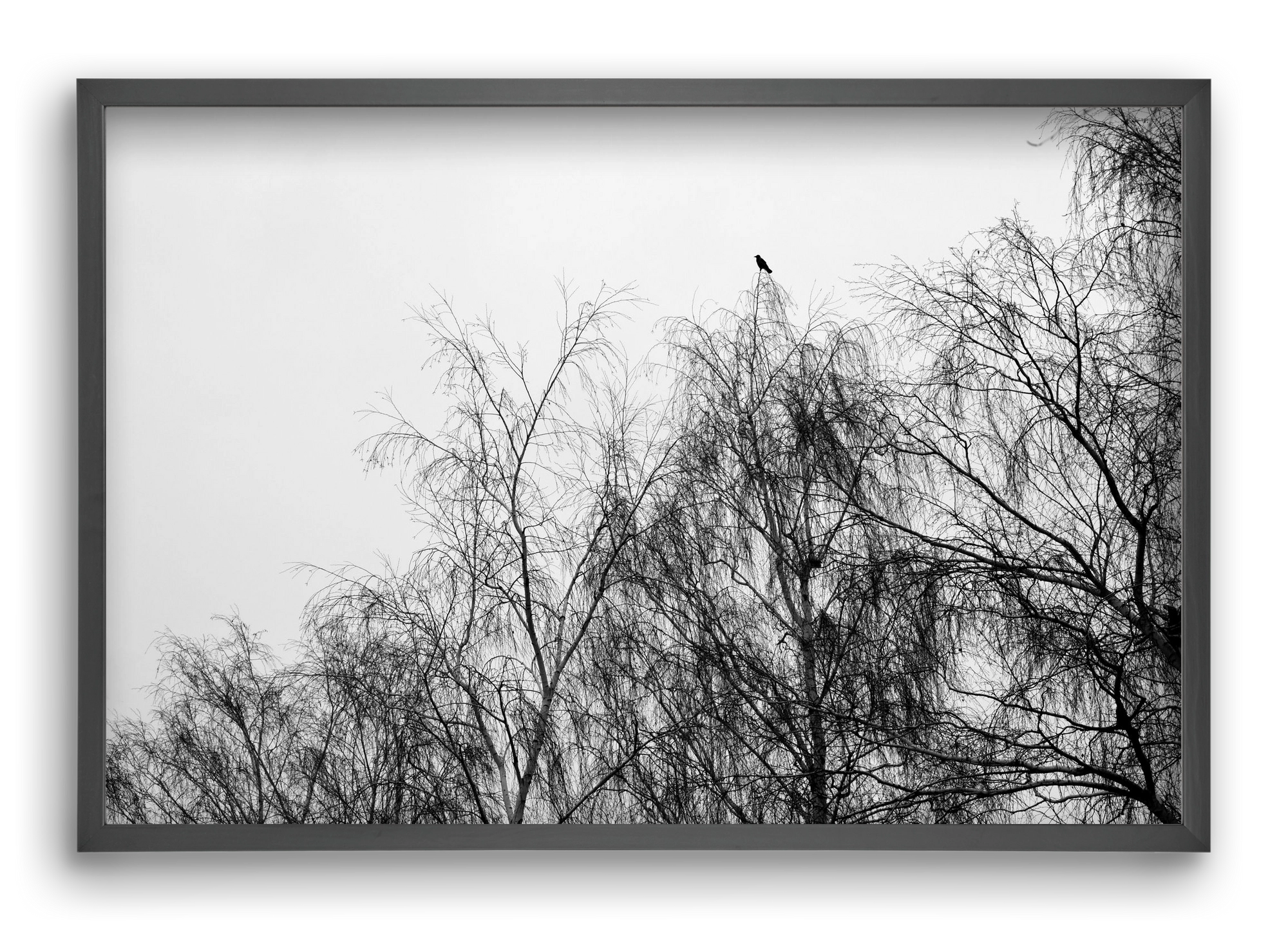 Poeta, 60x40 cm (60x40 cm), Fekete keret