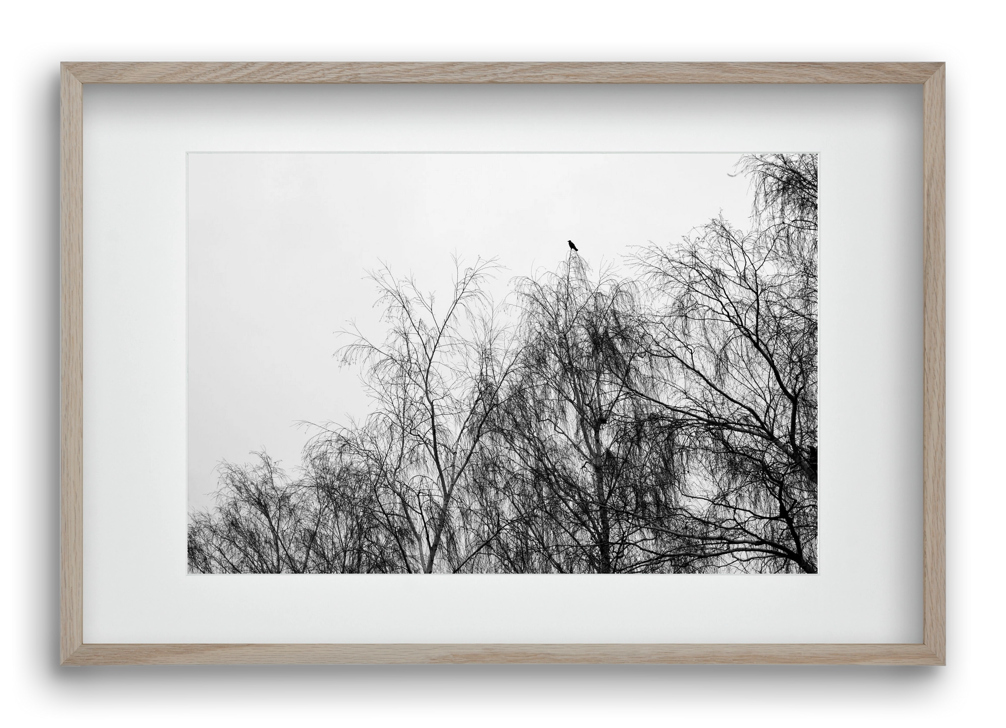 Poeta, 60x40 cm (45x30 cm), Tölgy keret, paszpartuval