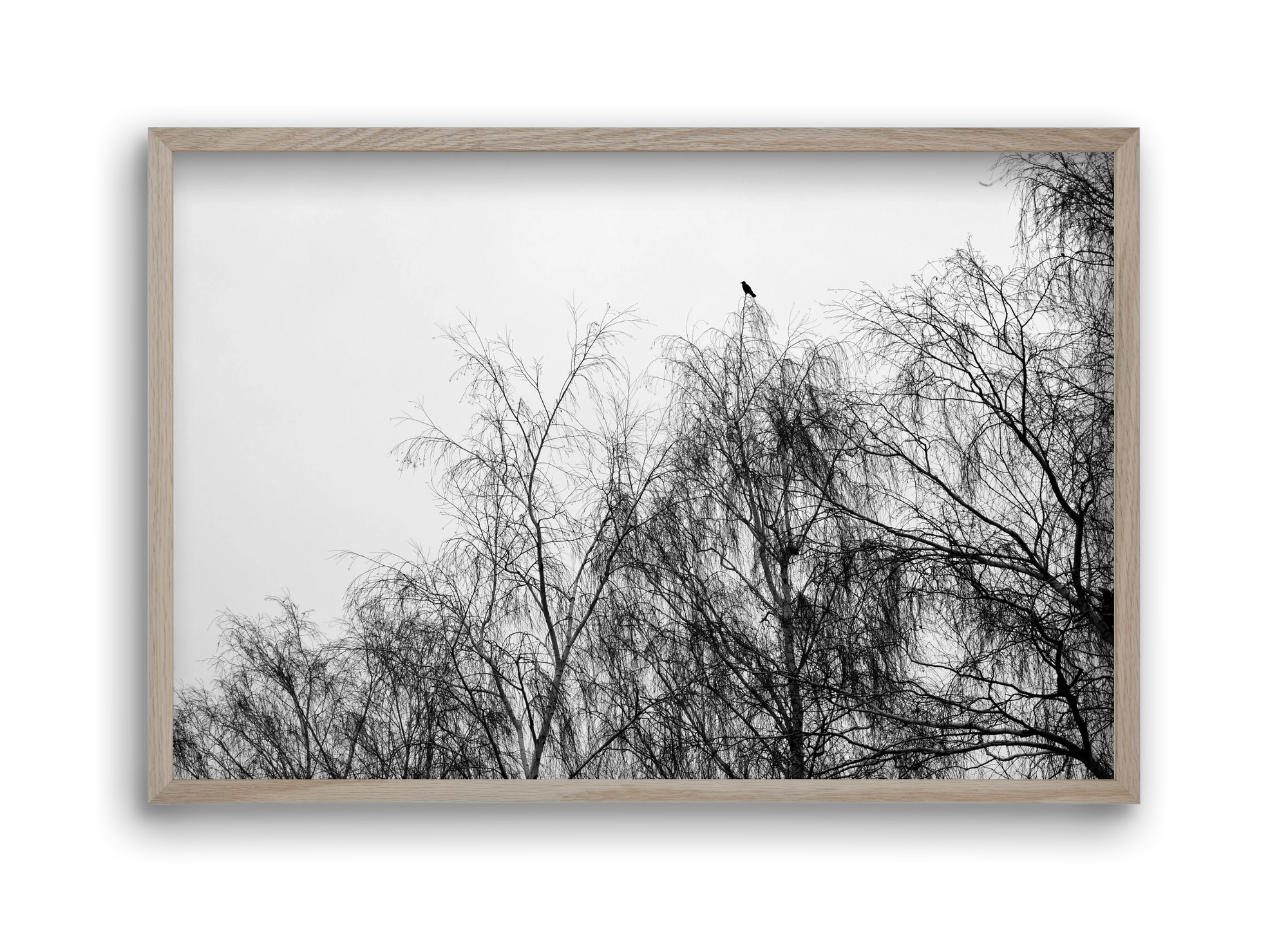 Poeta, 45x30 cm (45x30 cm), Tölgy keret