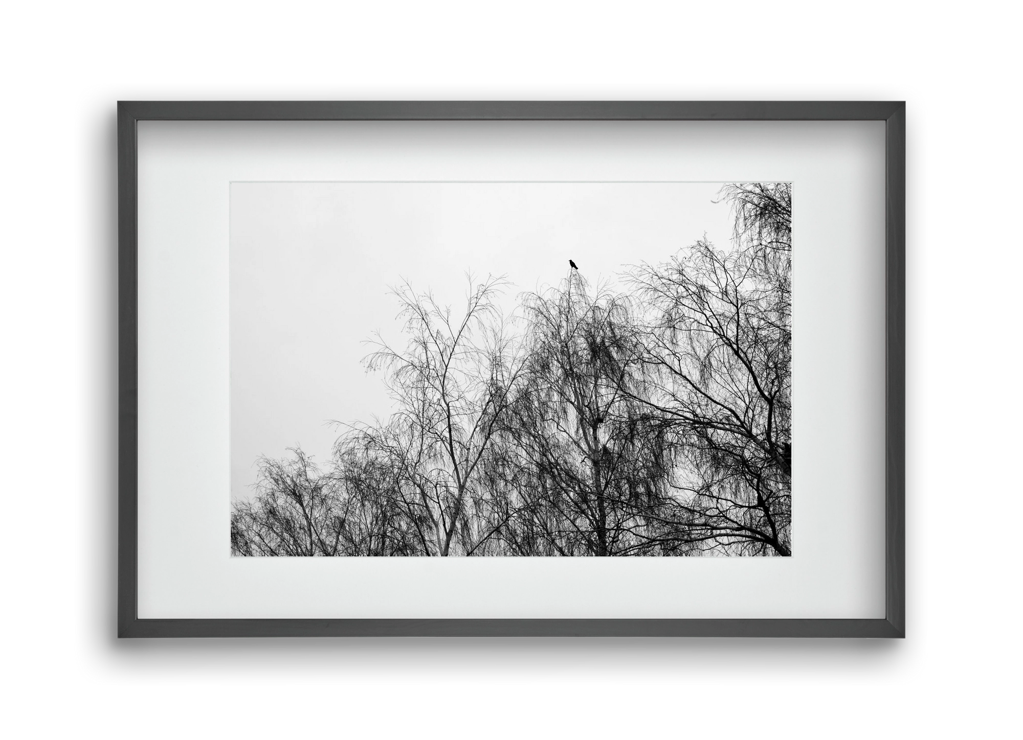 Poeta, 45x30 cm (30x20 cm), Fekete keret, paszpartuval