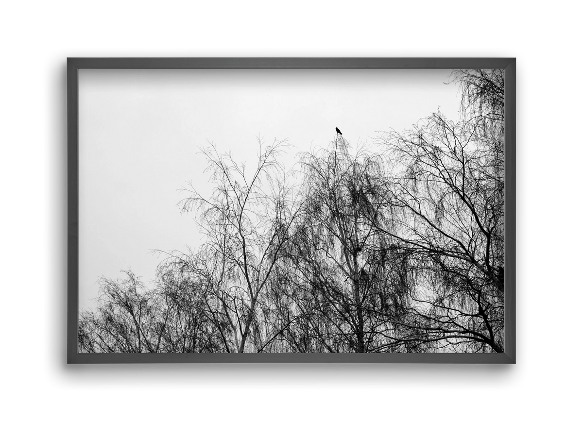 Poeta, 45x30 cm (45x30 cm), Fekete keret