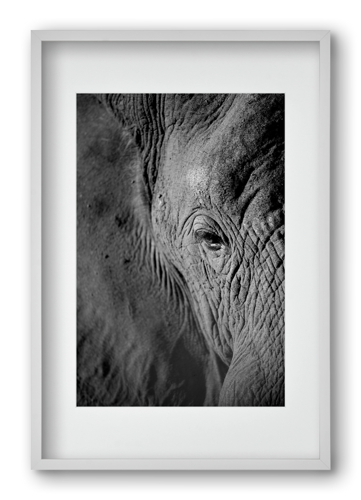 african dream, 40x60 cm (30x45 cm), Fehér keret, paszpartuval