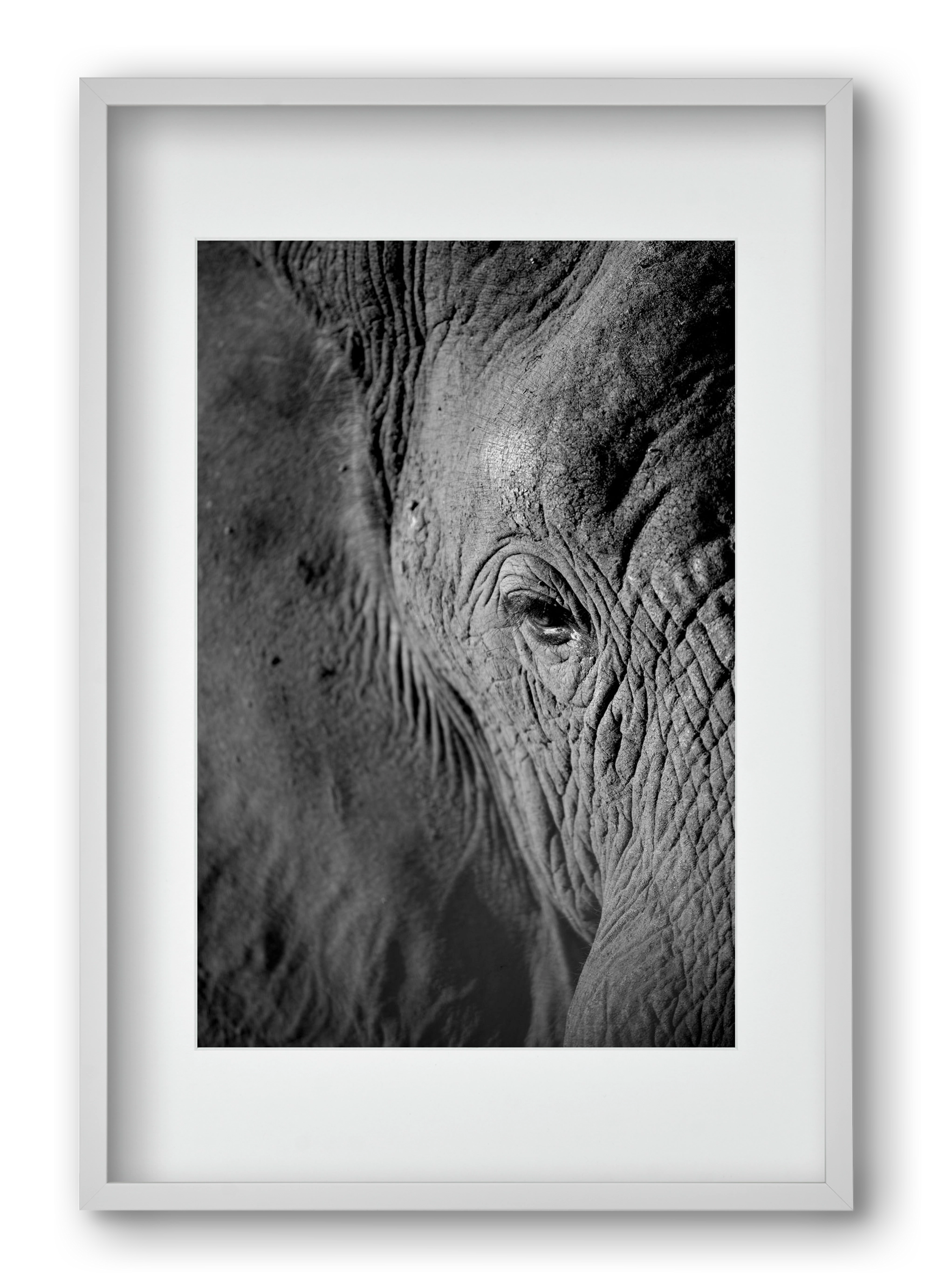 african dream, 40x60 cm (30x45 cm), Fehér keret, paszpartuval