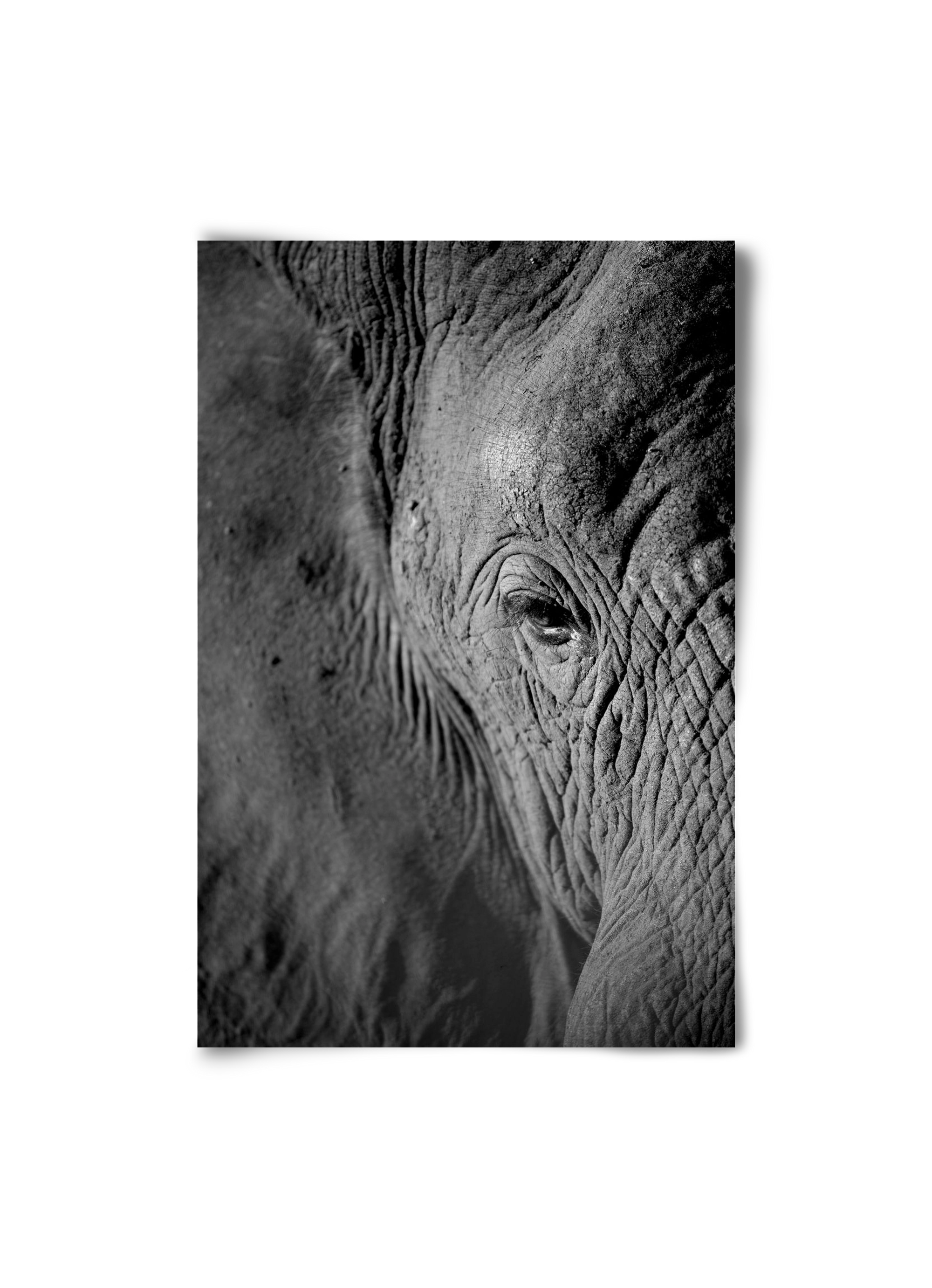 african dream, 20x30 cm, Keret nélkül