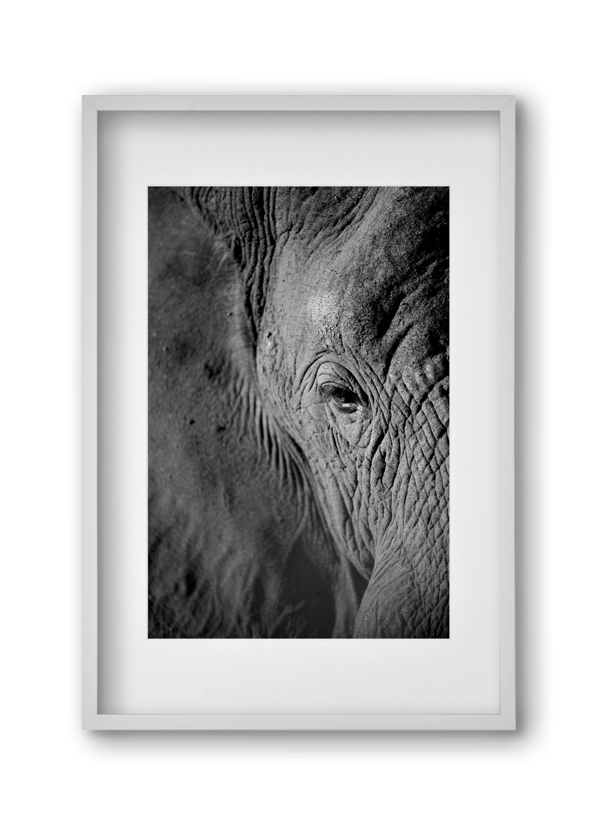 african dream, 30x45 cm (20x30 cm), Fehér keret, paszpartuval