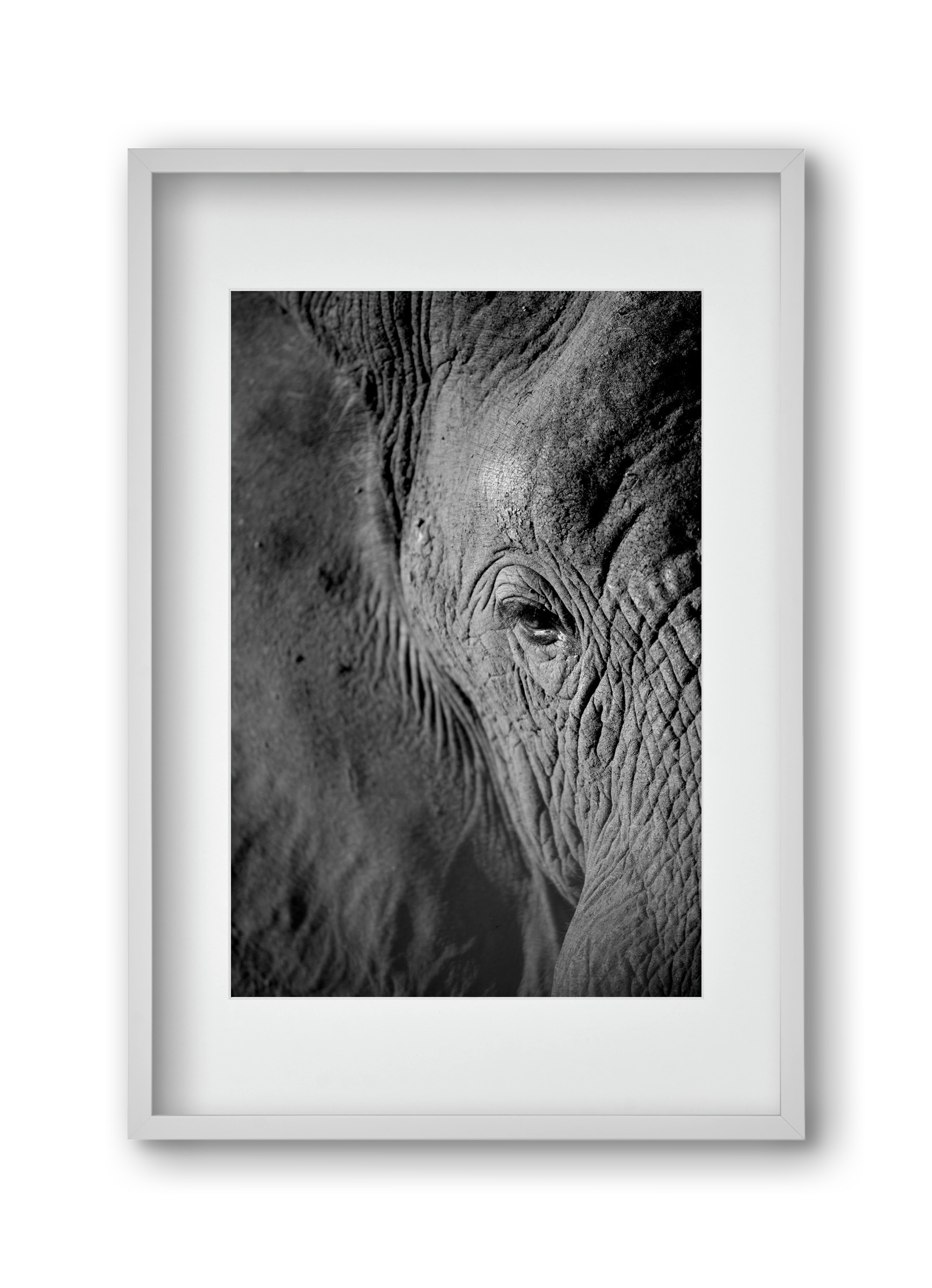 african dream, 30x45 cm (20x30 cm), Fehér keret, paszpartuval