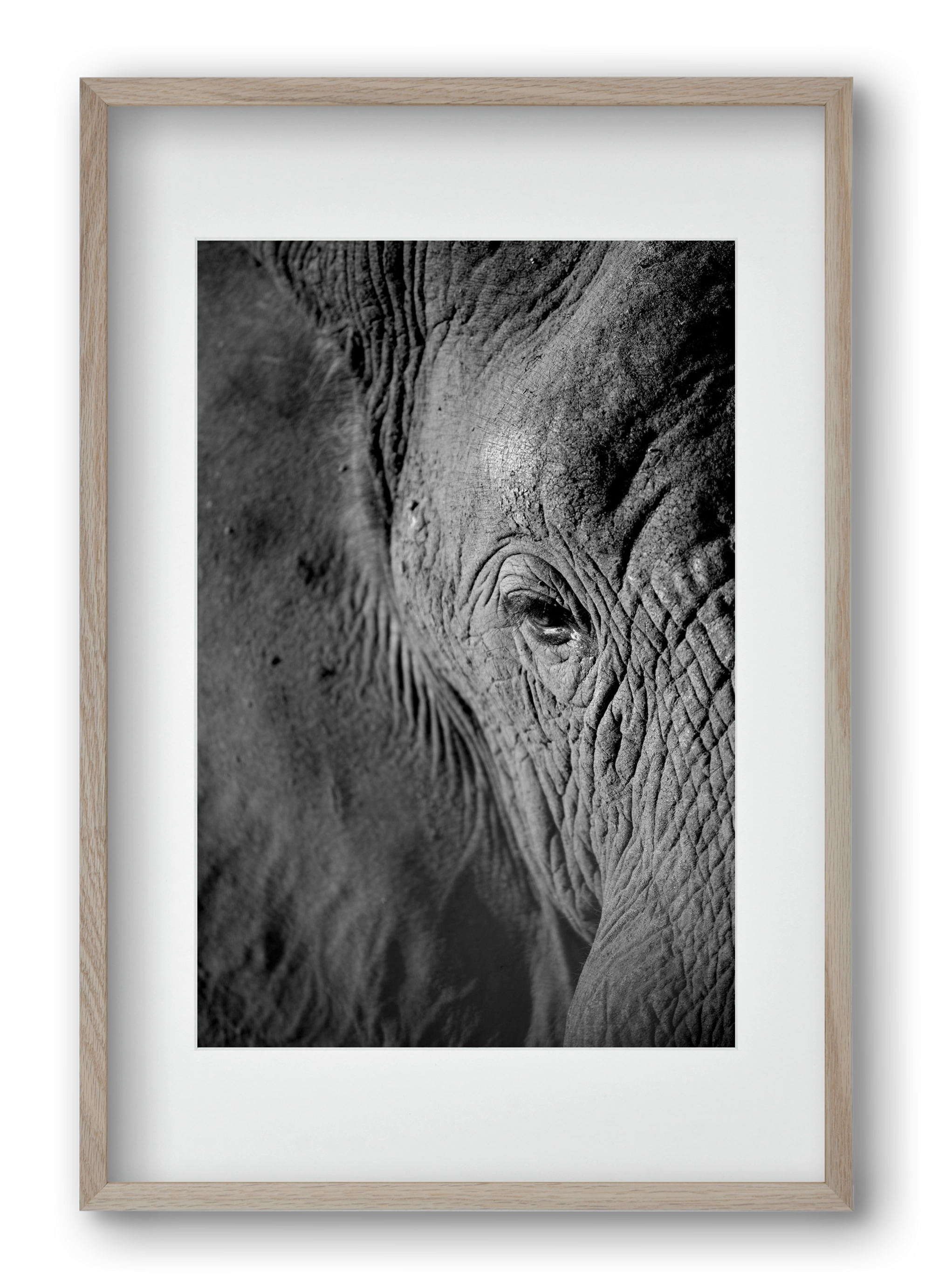 african dream, 40x60 cm (30x45 cm), Tölgy keret, paszpartuval