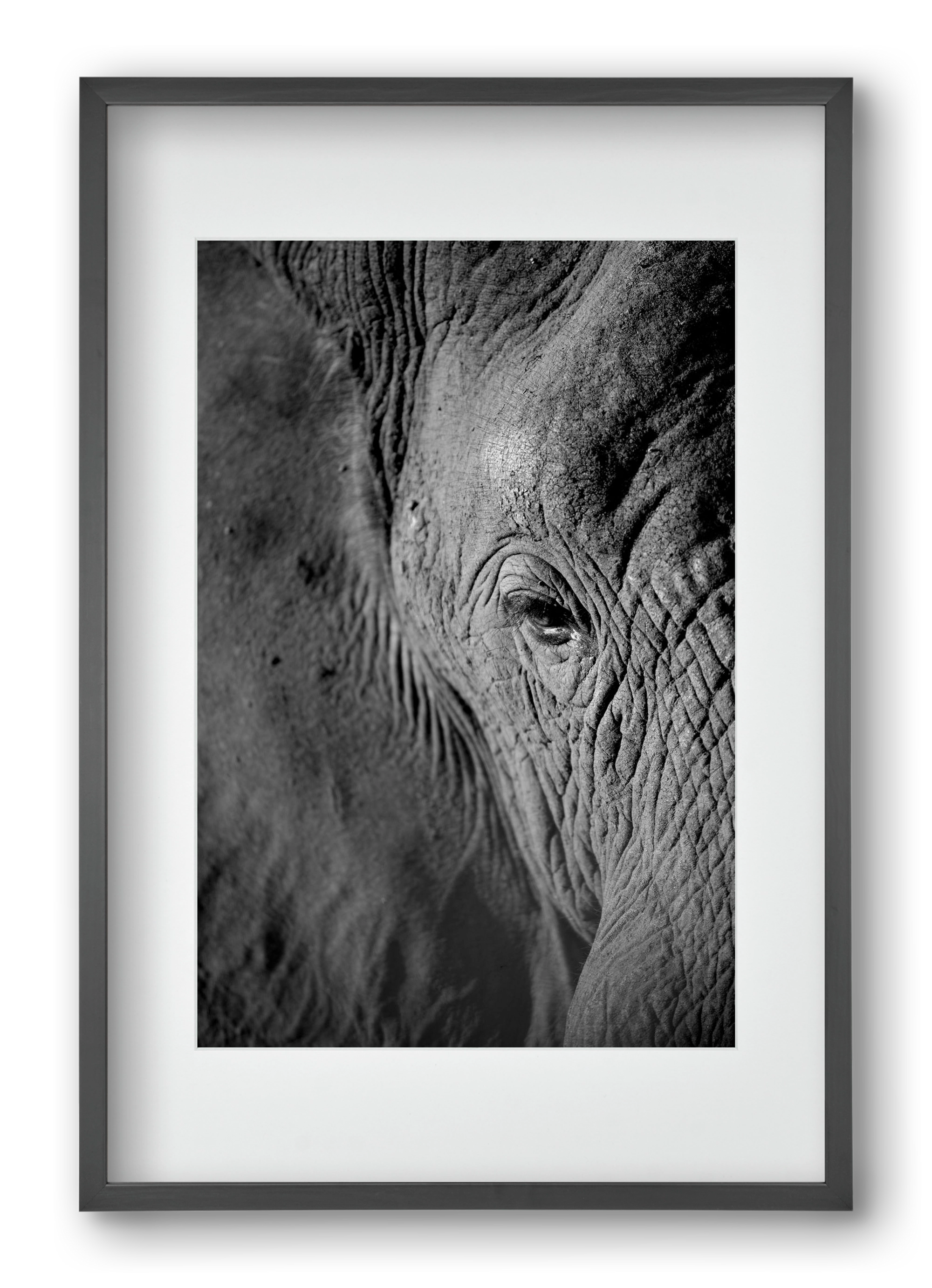 african dream, 40x60 cm (30x45 cm), Fekete keret, paszpartuval