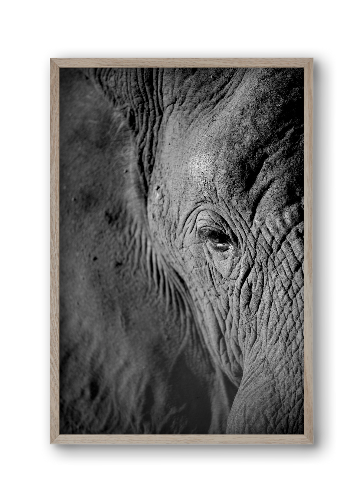 african dream, 30x45 cm (30x45 cm), Tölgy keret