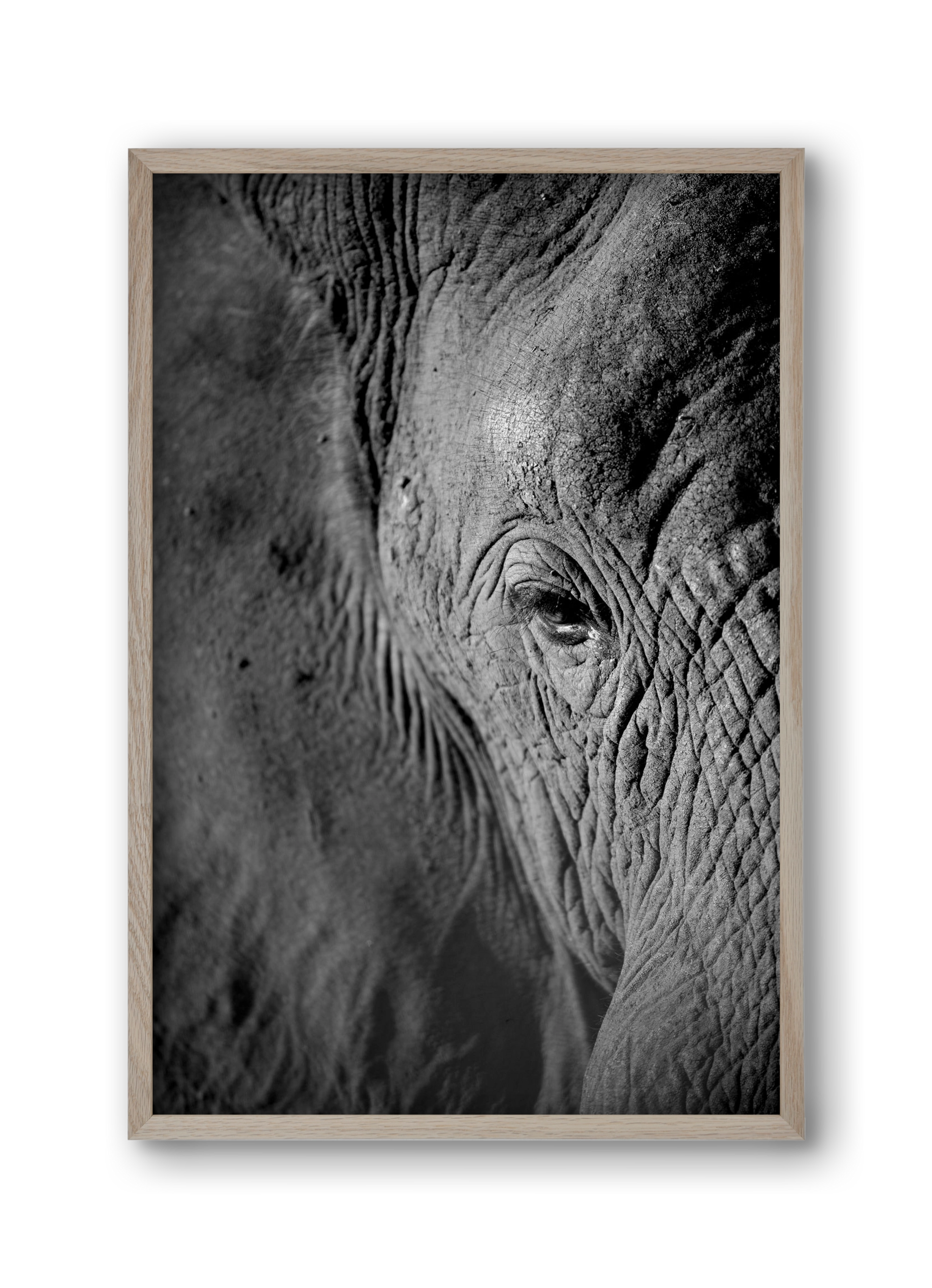 african dream, 30x45 cm (30x45 cm), Tölgy keret