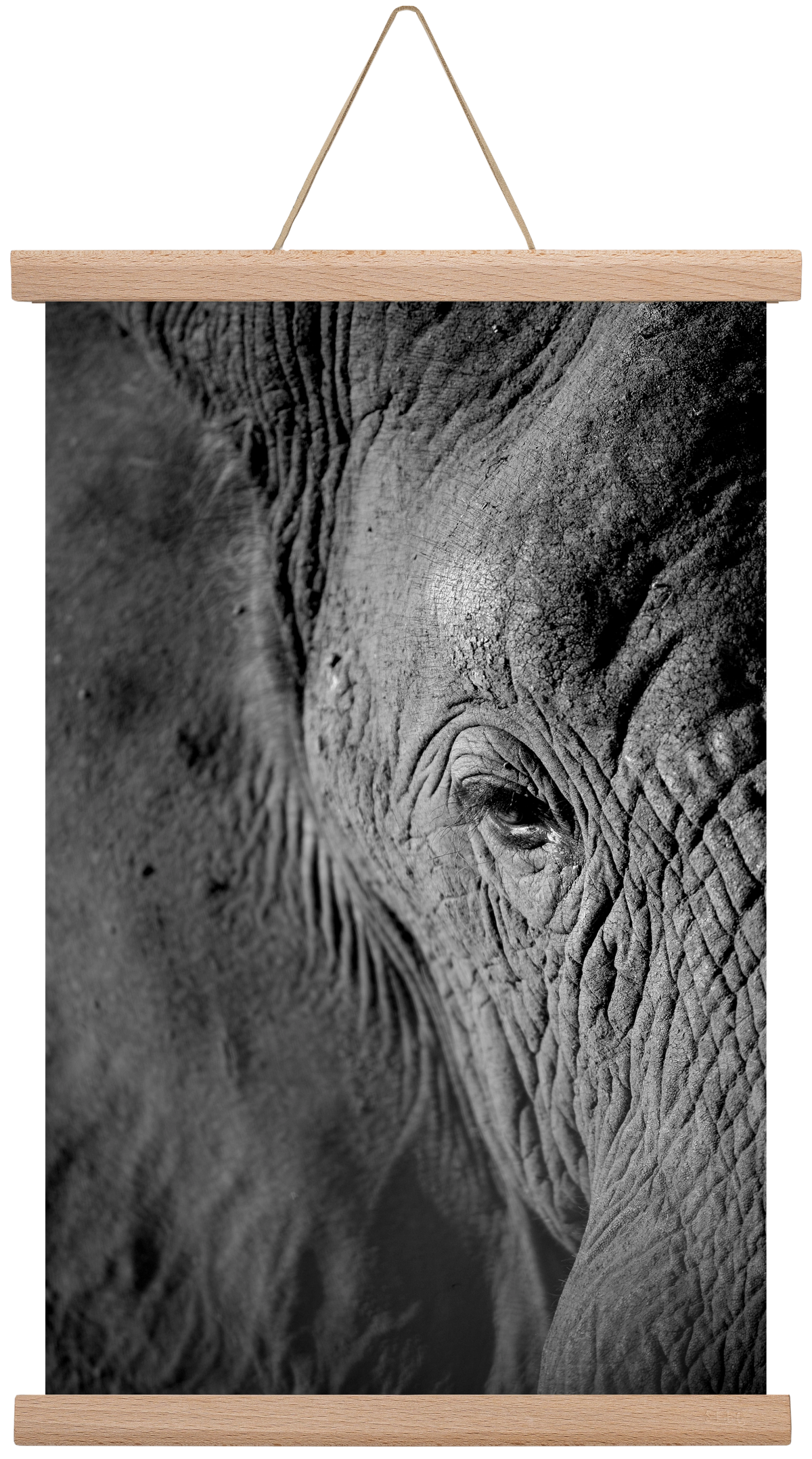 african dream, 30x45 cm (30x45 cm), Tölgy akasztó