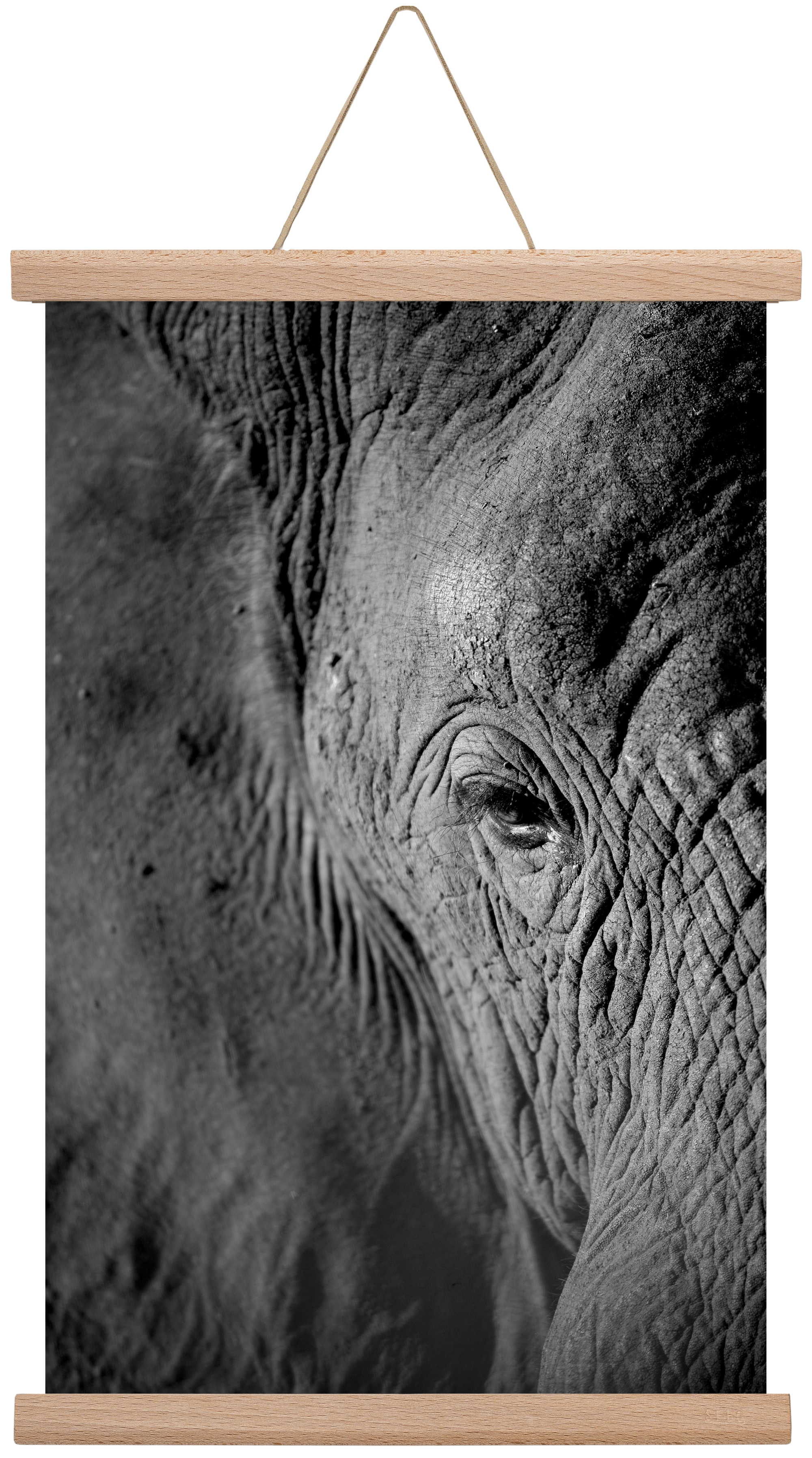 african dream, 30x45 cm (30x45 cm), Tölgy akasztó