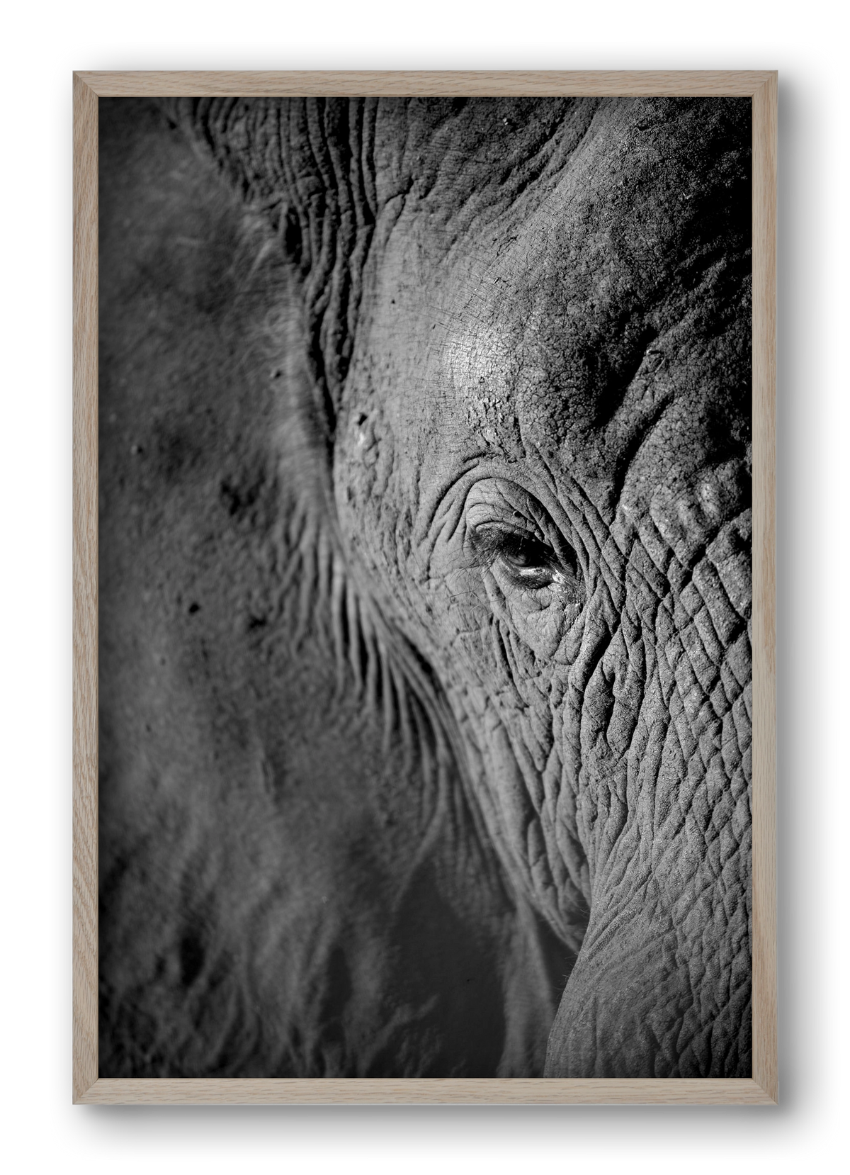 african dream, 40x60 cm (40x60 cm), Tölgy keret