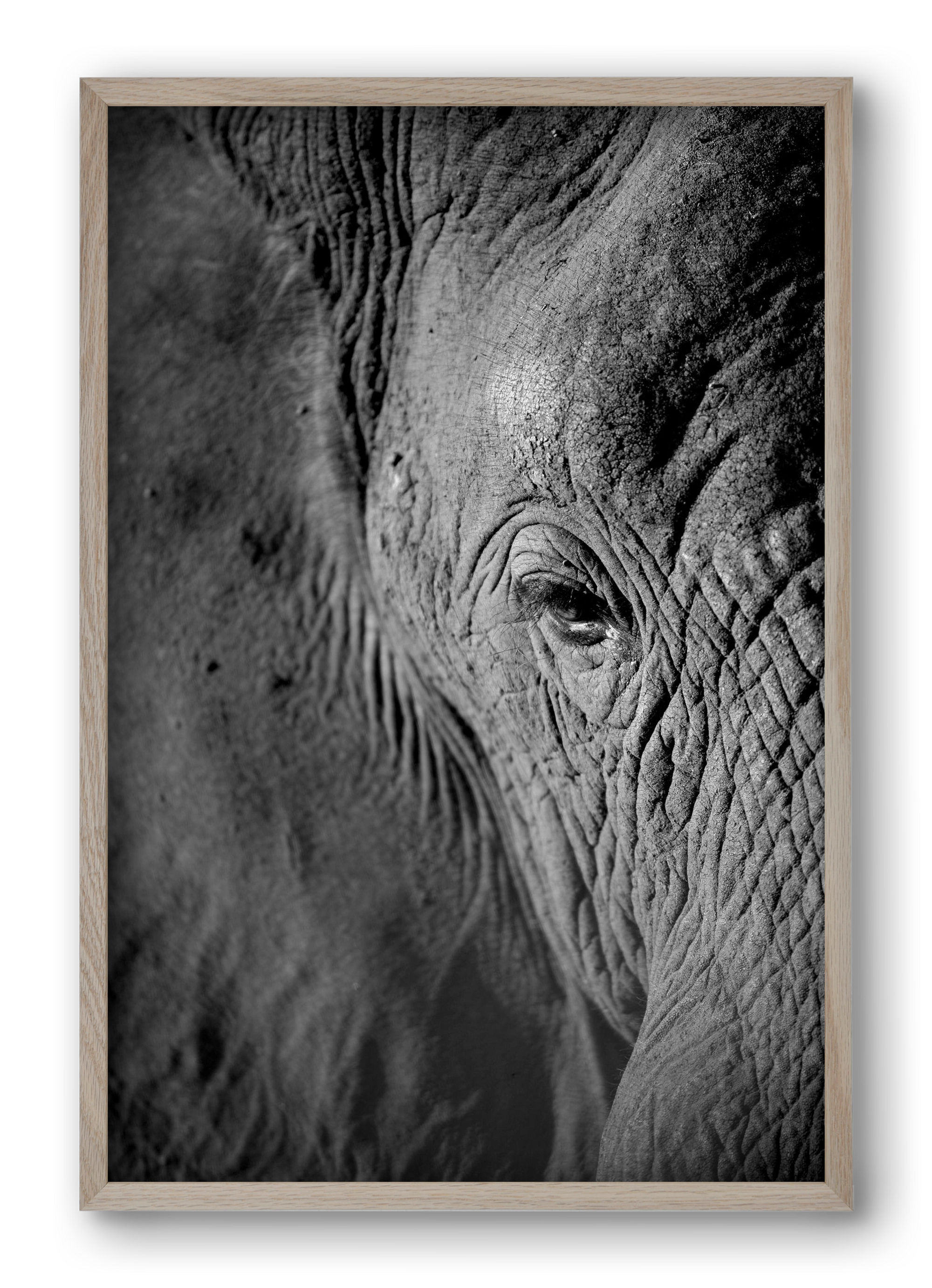 african dream, 40x60 cm (40x60 cm), Tölgy keret