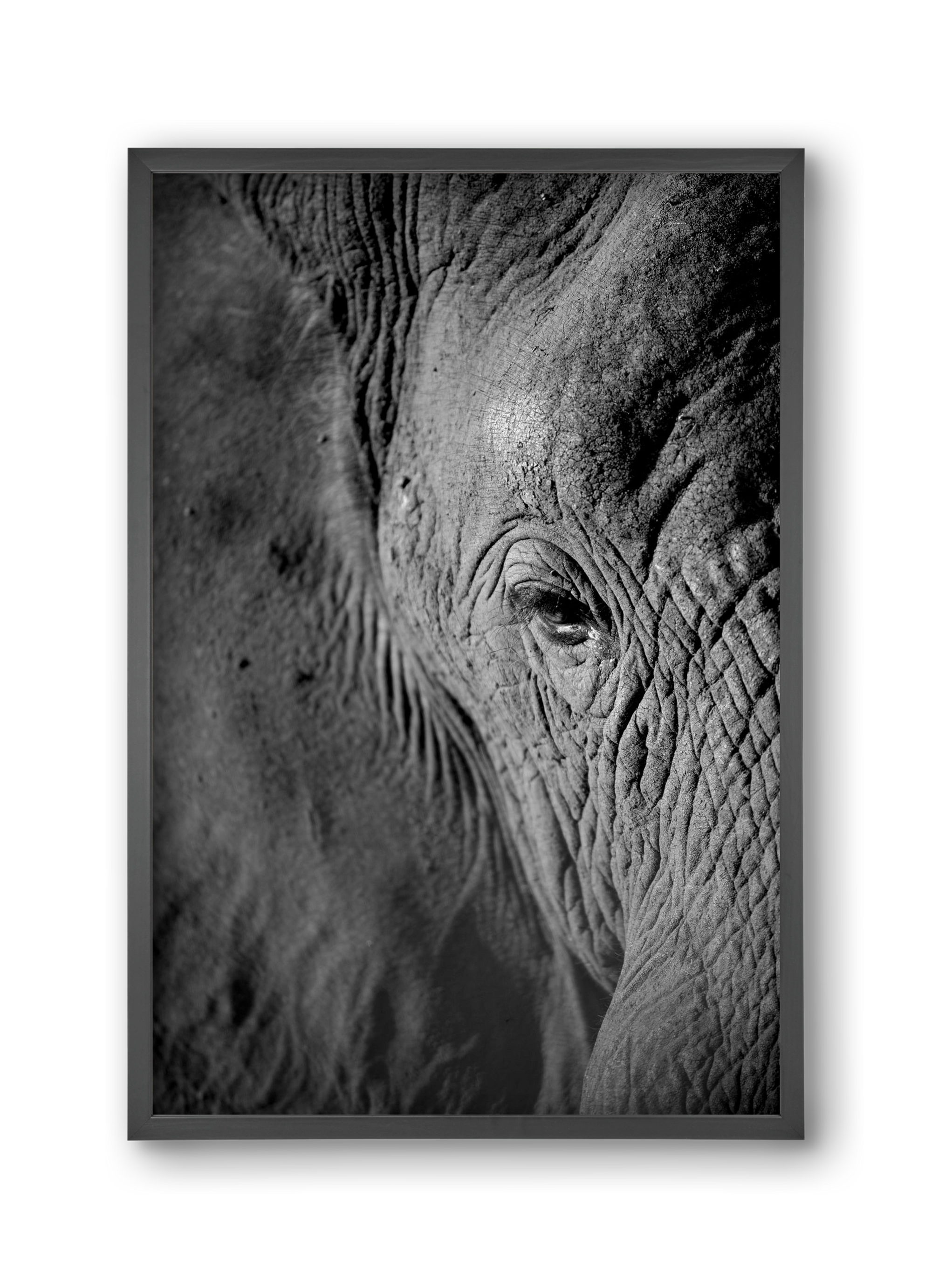 african dream, 30x45 cm (30x45 cm), Fekete keret