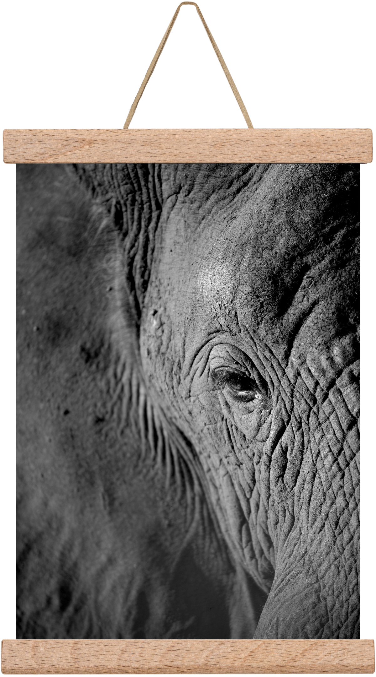 african dream, 20x30 cm (20x30 cm), Tölgy akasztó