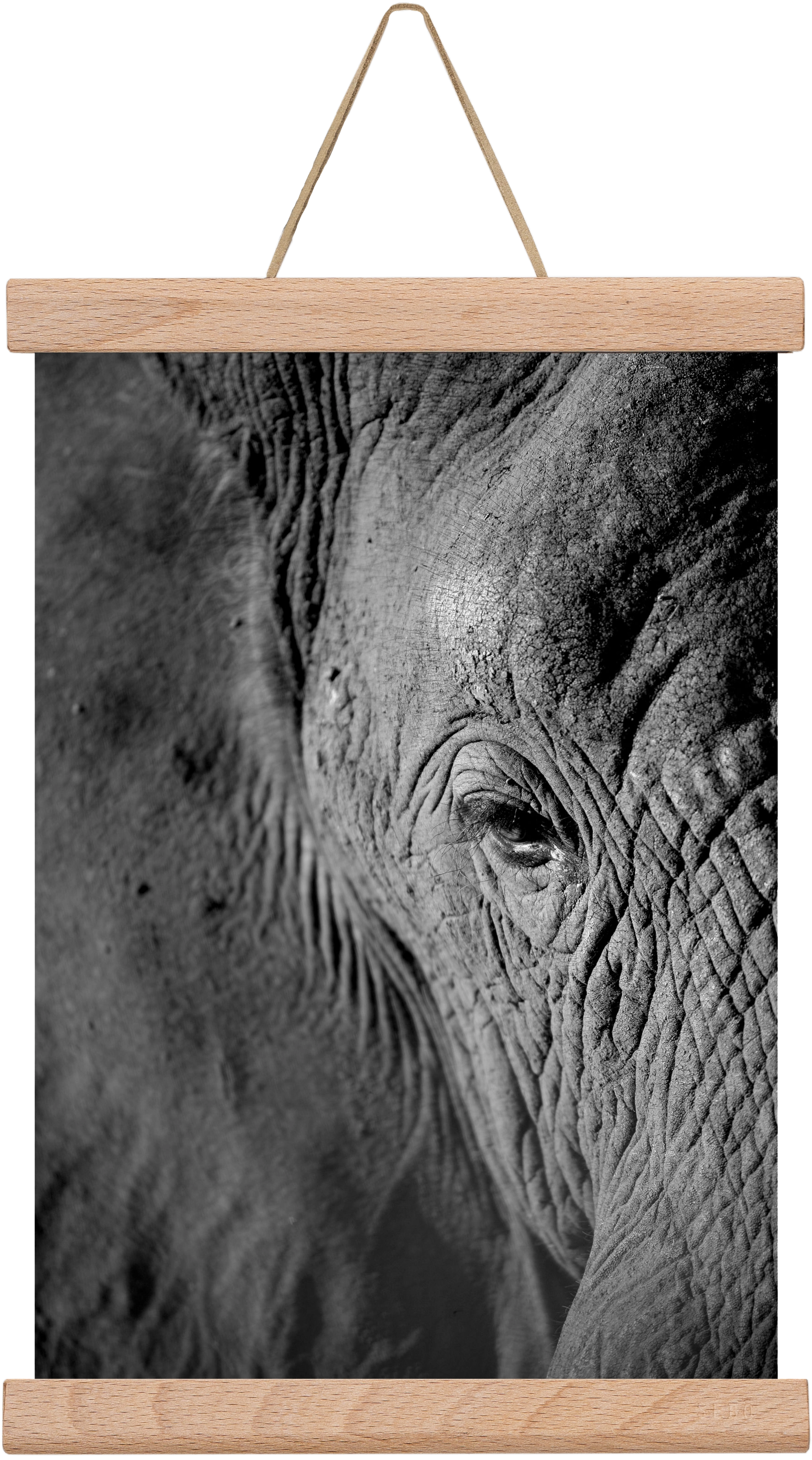 african dream, 20x30 cm (20x30 cm), Tölgy akasztó