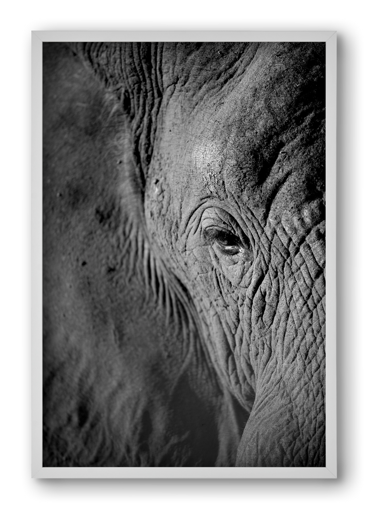 african dream, 40x60 cm (40x60 cm), Fehér keret