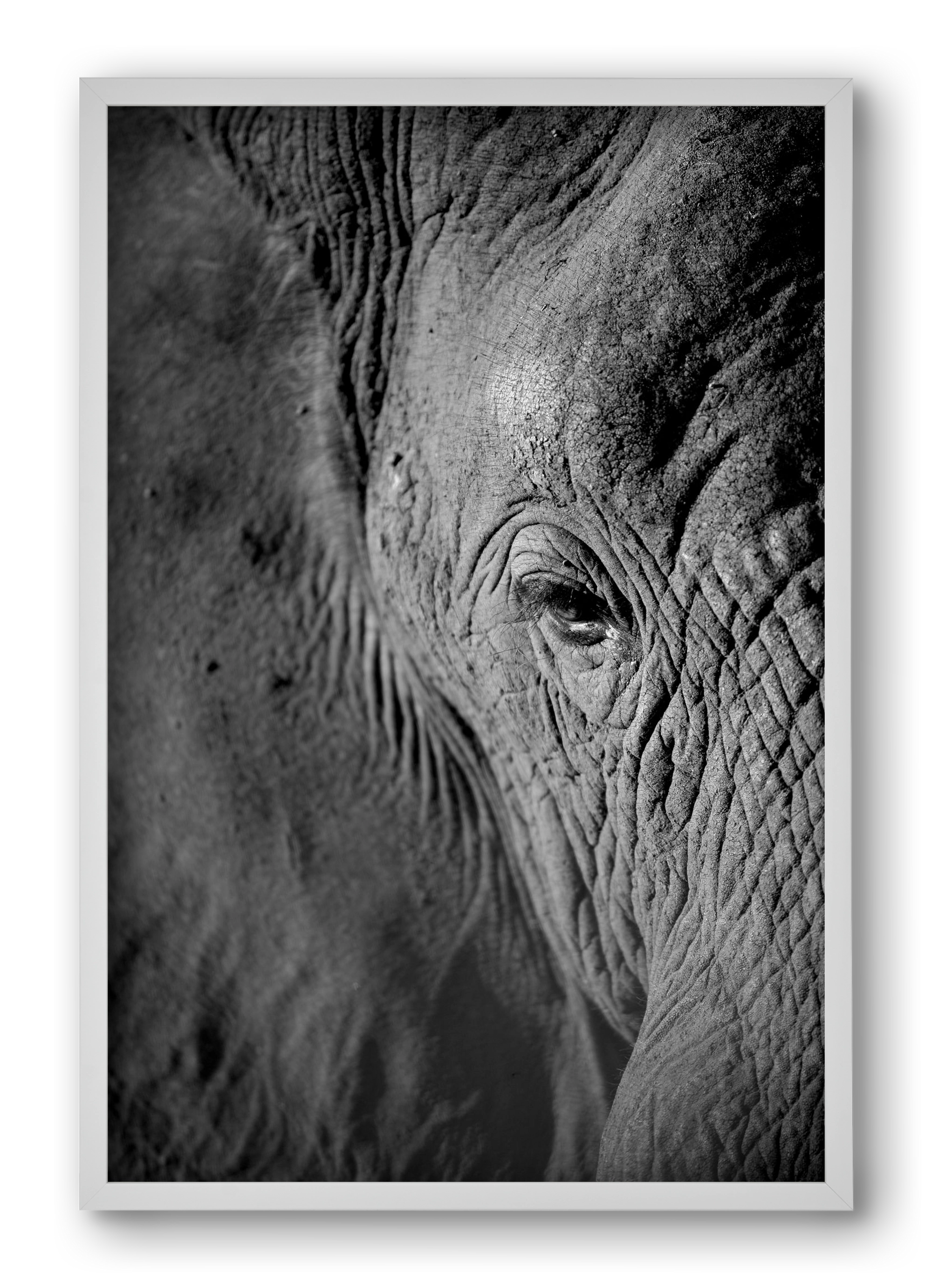 african dream, 40x60 cm (40x60 cm), Fehér keret