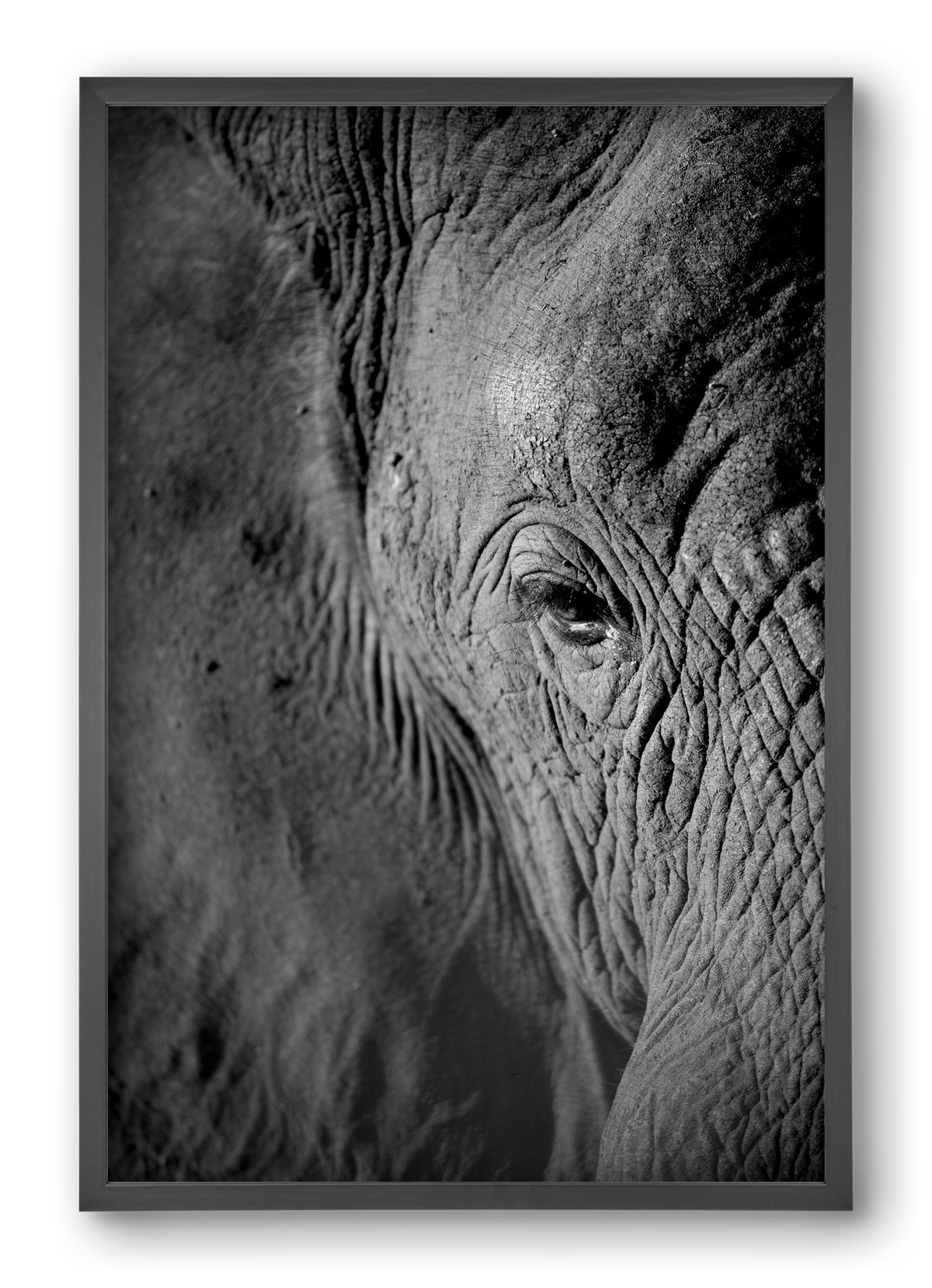 african dream, 40x60 cm (40x60 cm), Fekete keret