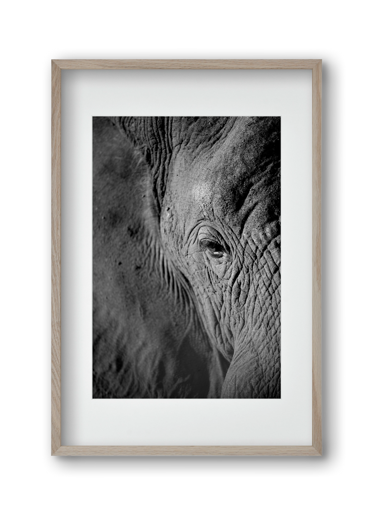 african dream, 30x45 cm (20x30 cm), Tölgy keret, paszpartuval