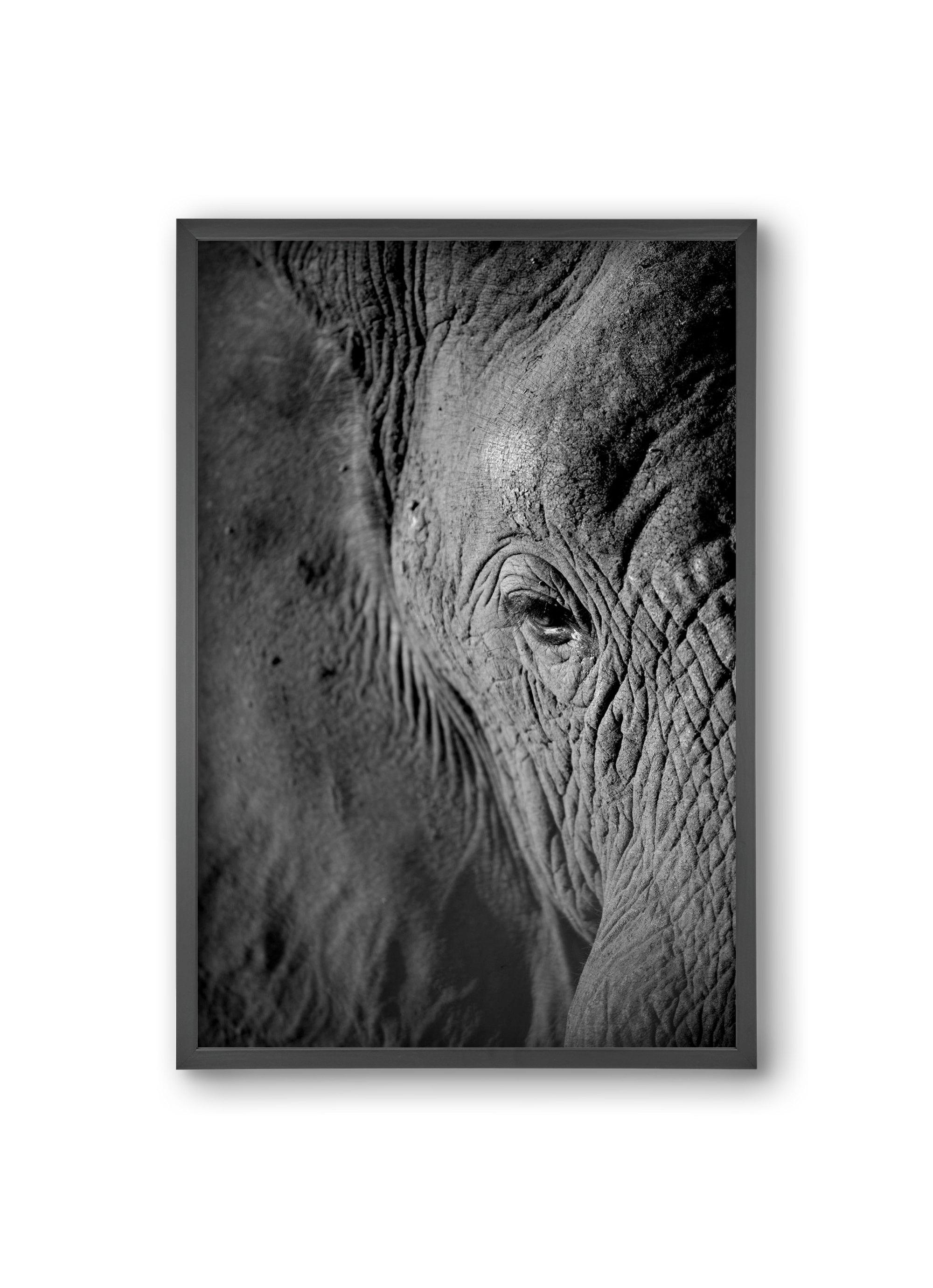 african dream, 20x30 cm (20x30 cm), Fekete keret