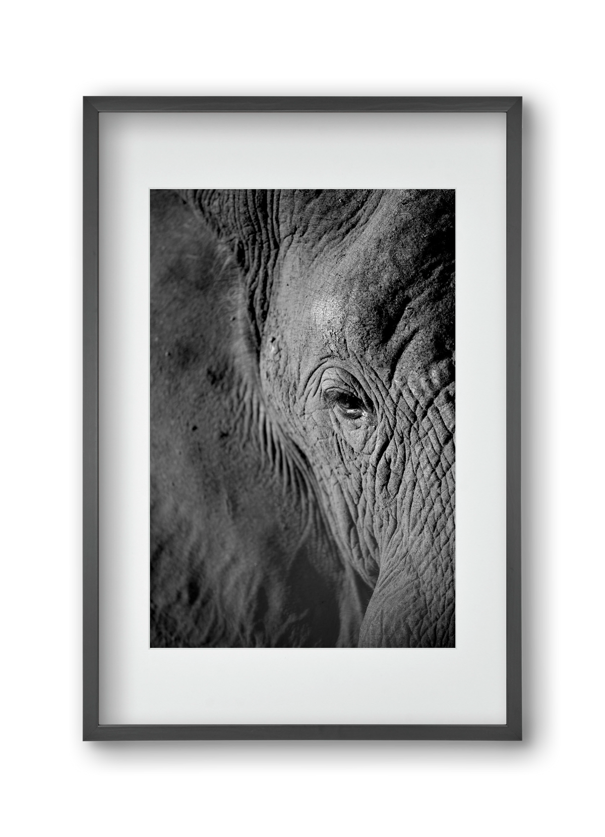 african dream, 30x45 cm (20x30 cm), Fekete keret, paszpartuval